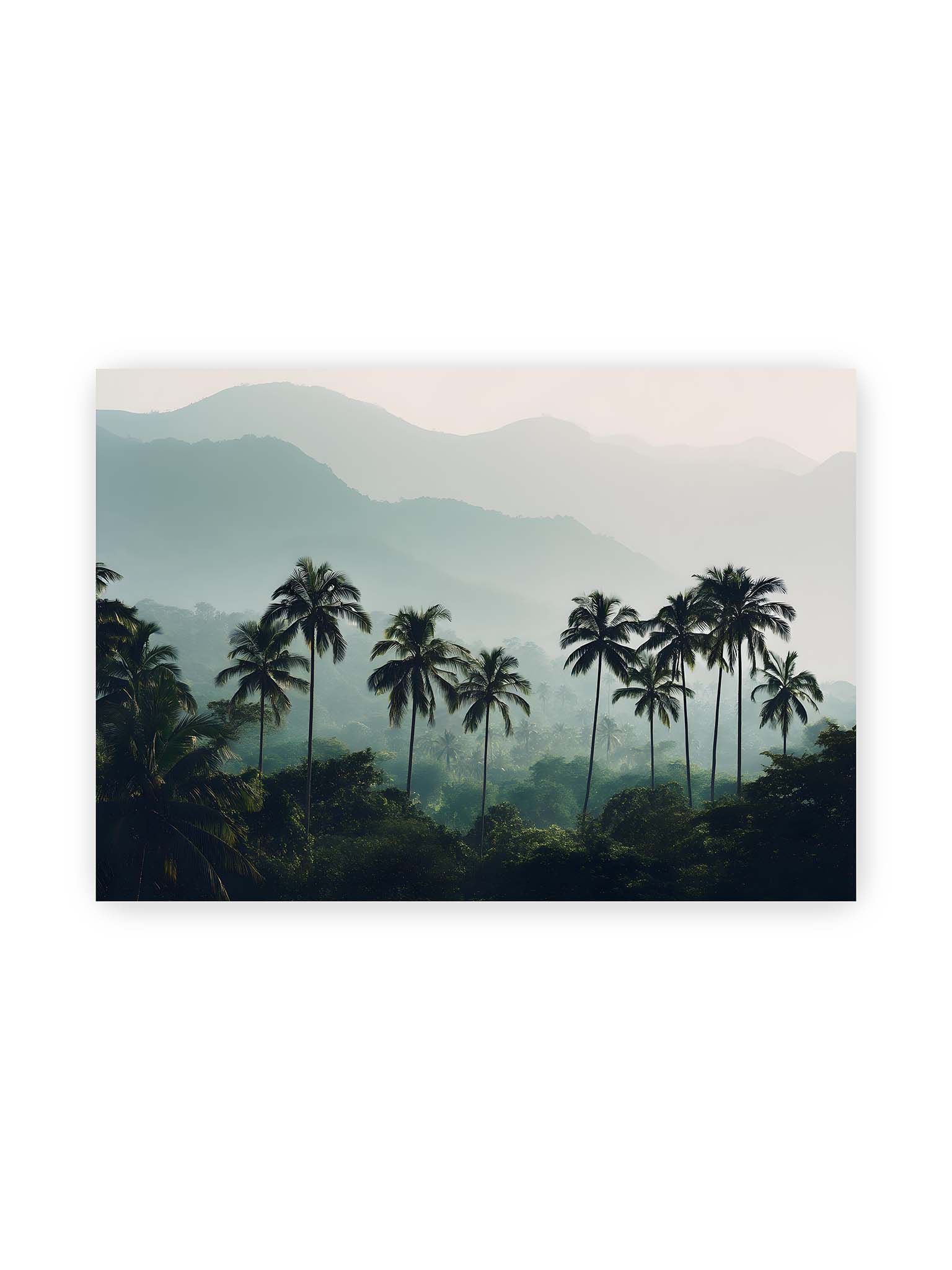 70x100 cm – Palmen stehen dicht in nebligem Dschungel mit weichen Schichten und bergigem Hintergrund.