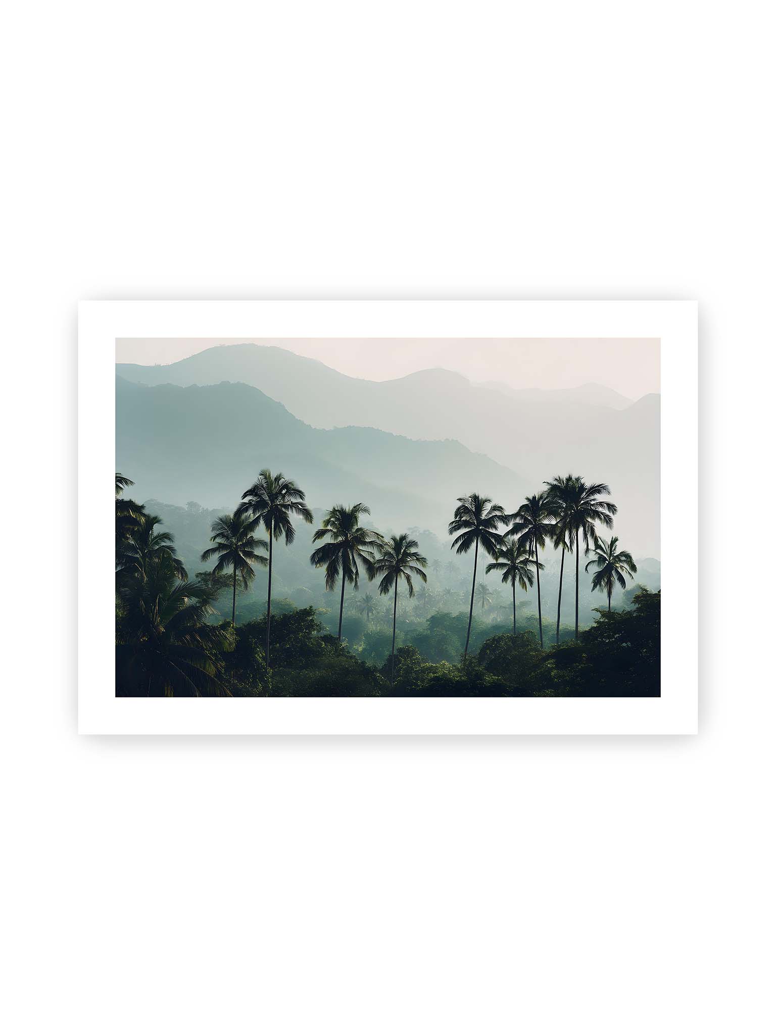 70x100 cm, weißer Galerie-Rand – Palmen stehen dicht in nebligem Dschungel mit weichen Schichten und bergigem Hintergrund.