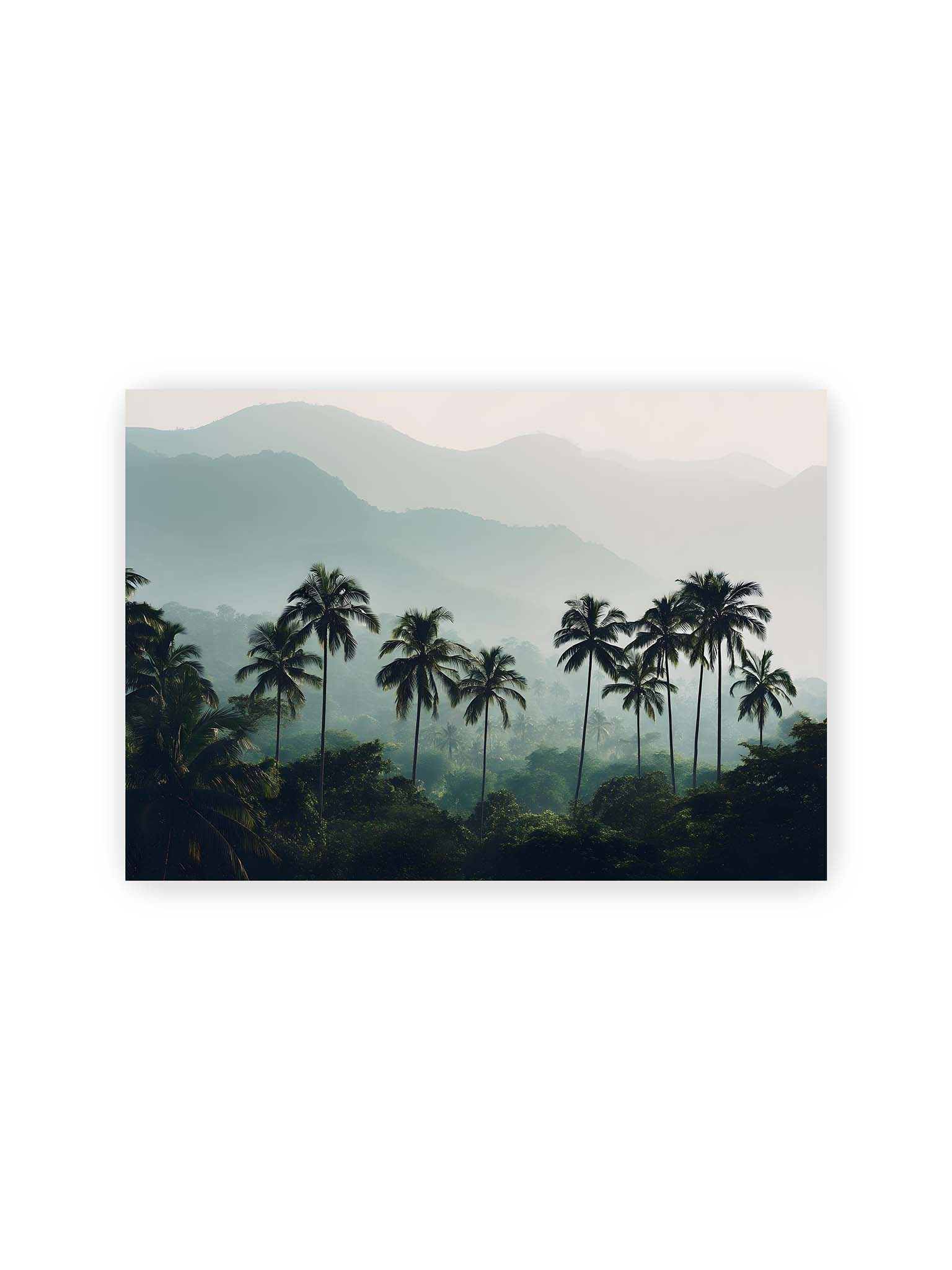 21x30 cm – Palmen stehen dicht in nebligem Dschungel mit weichen Schichten und bergigem Hintergrund.