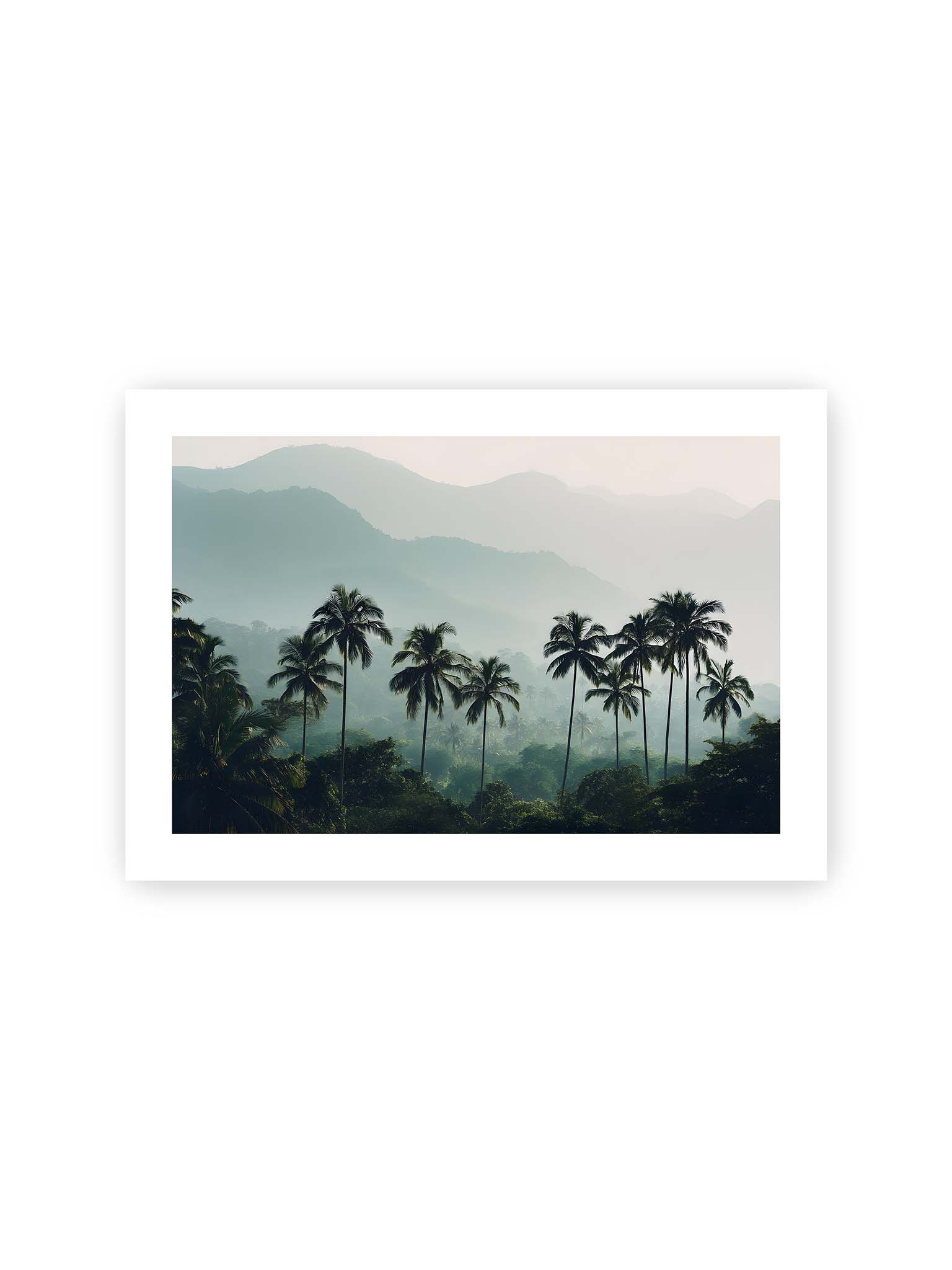 21x30 cm, weißer Galerie-Rand – Palmen stehen dicht in nebligem Dschungel mit weichen Schichten und bergigem Hintergrund.