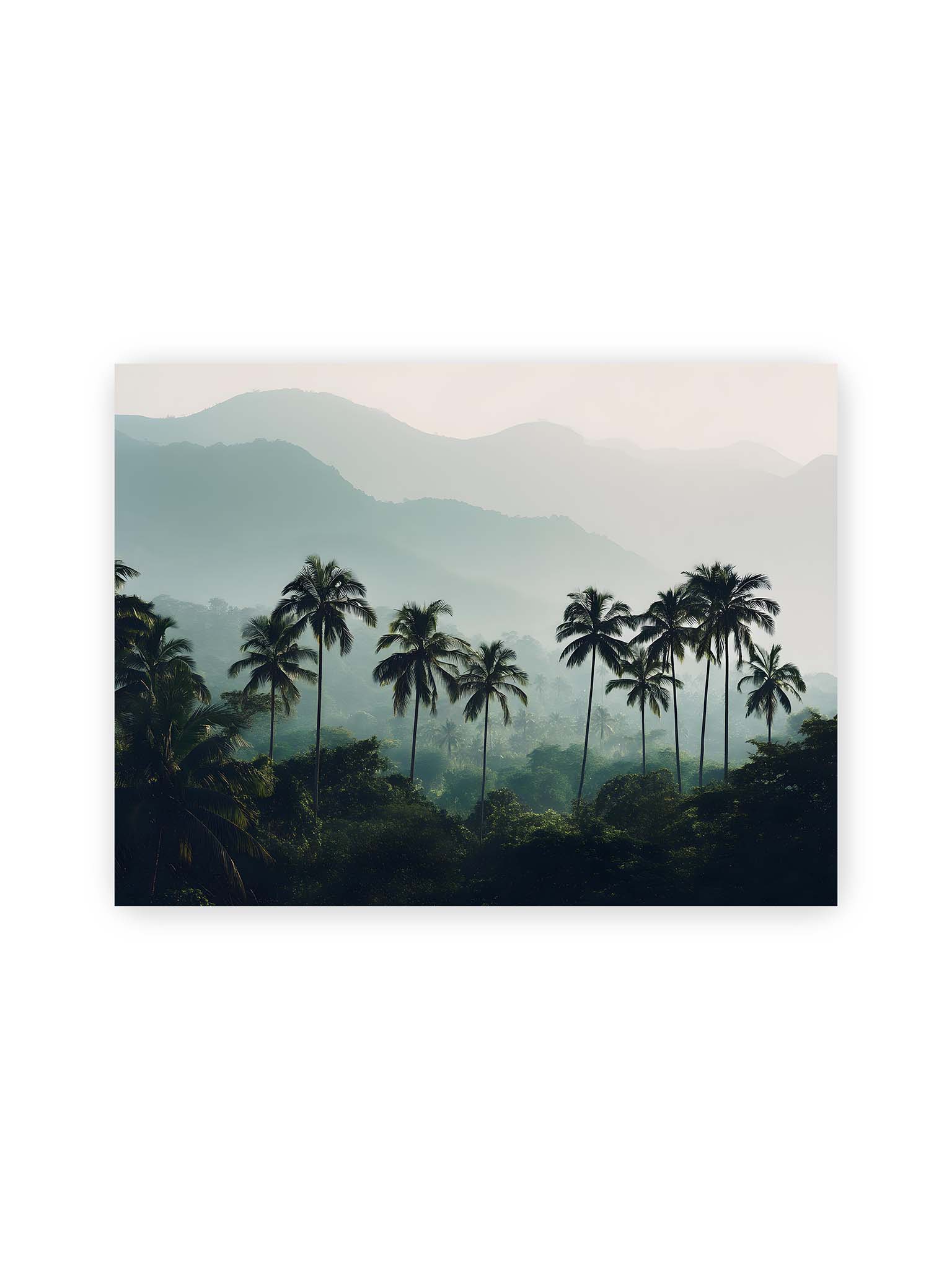 30x40 cm – Palmen stehen dicht in nebligem Dschungel mit weichen Schichten und bergigem Hintergrund.