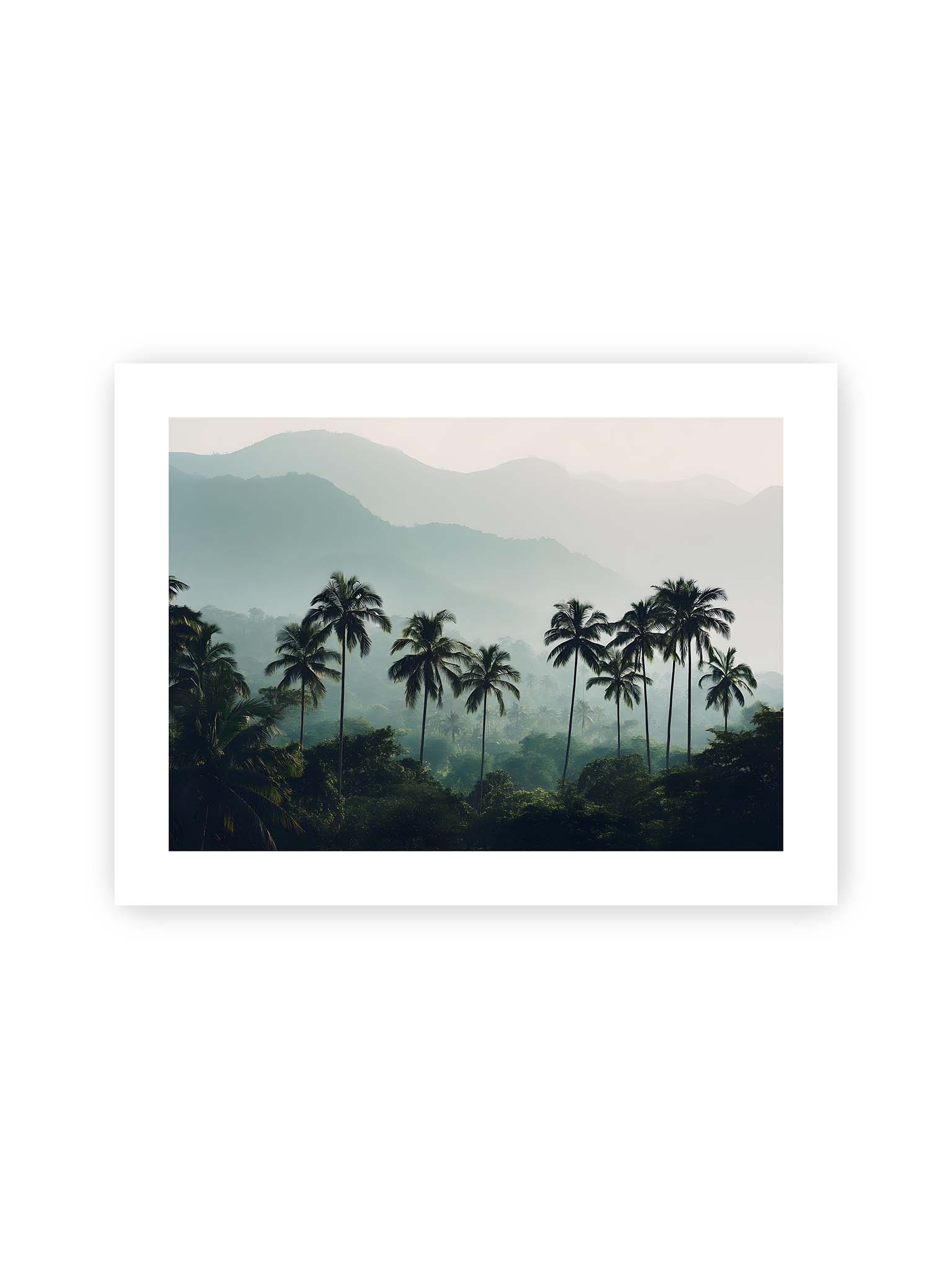 30x40 cm, weißer Galerie-Rand – Palmen stehen dicht in nebligem Dschungel mit weichen Schichten und bergigem Hintergrund.