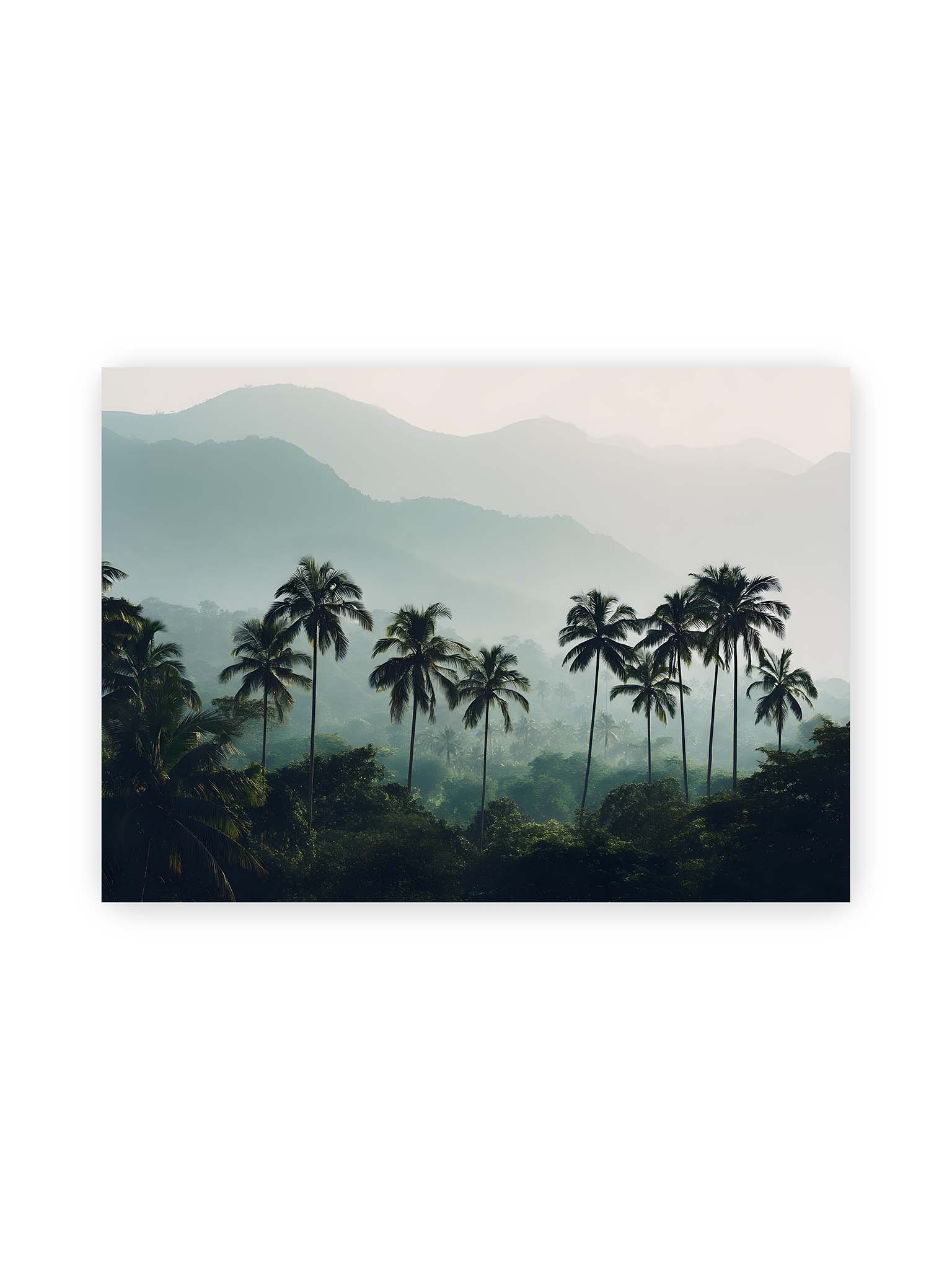 50x70 cm – Palmen stehen dicht in nebligem Dschungel mit weichen Schichten und bergigem Hintergrund.