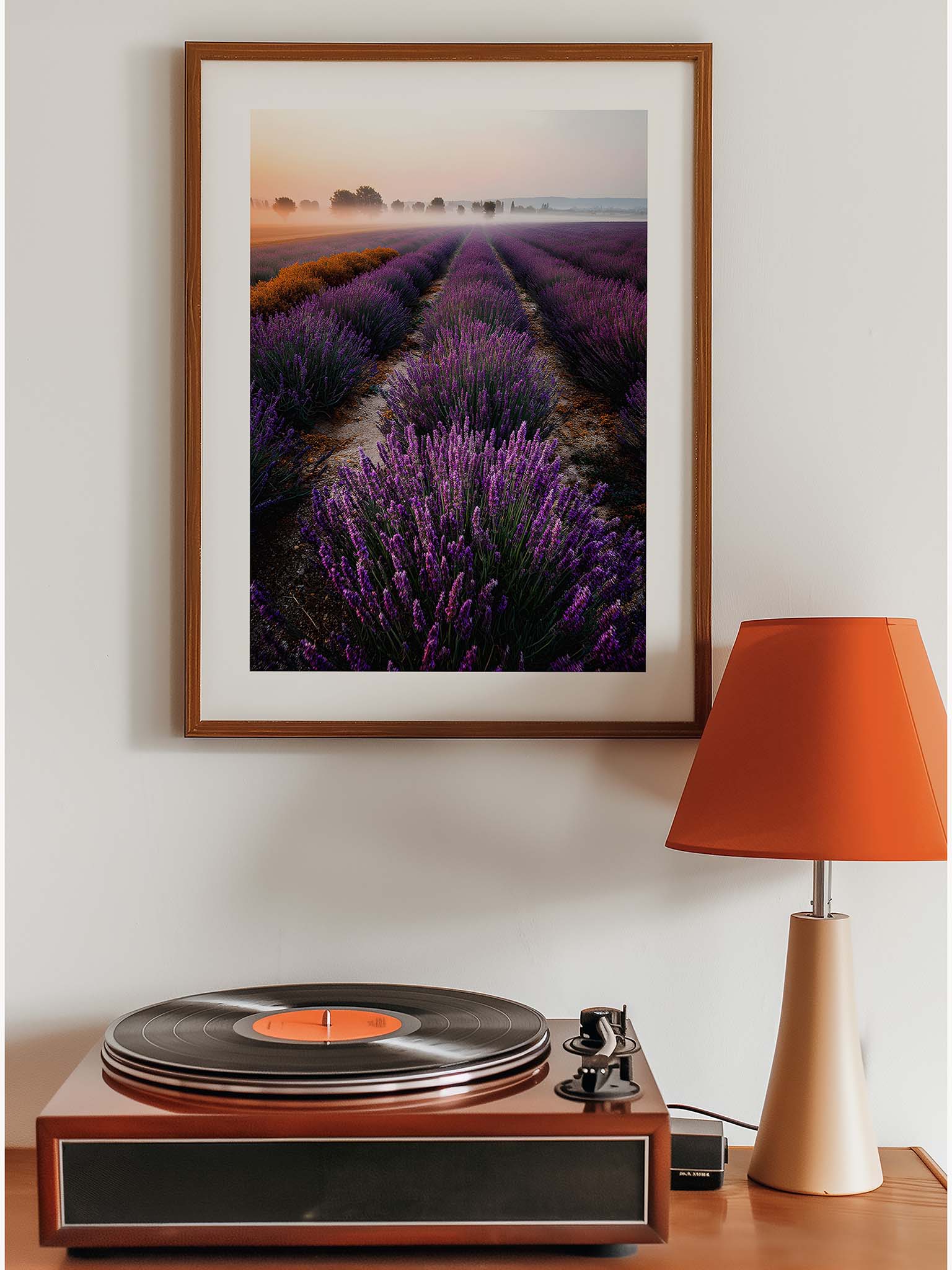 Lavender Dreams