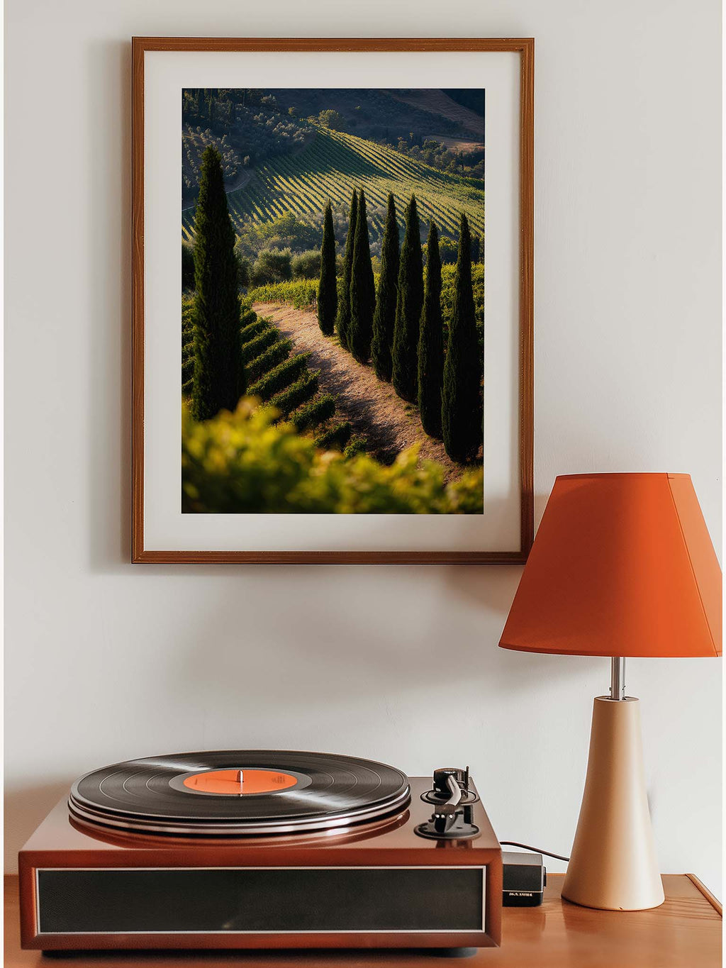 Cypress and Light