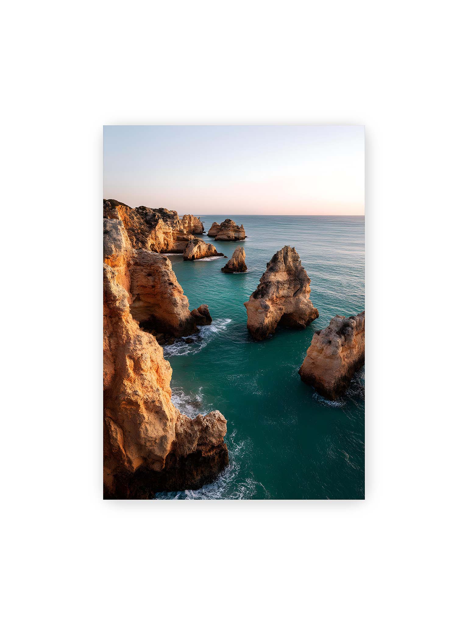 70x100 cm – Zypressen in einem Weinberg, beleuchtet von warmem, goldenen Licht des Sonnenuntergangs.