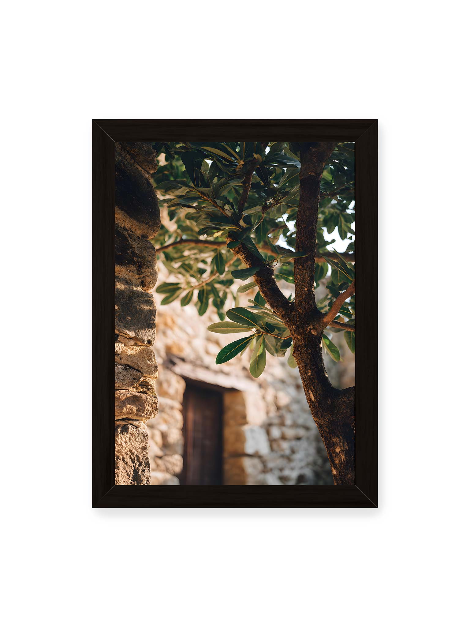 21x30 cm, schwarzer Rahmen – Olivenbaum an mediterraner Steinmauer mit Holztür im warmen Sonnenlicht.