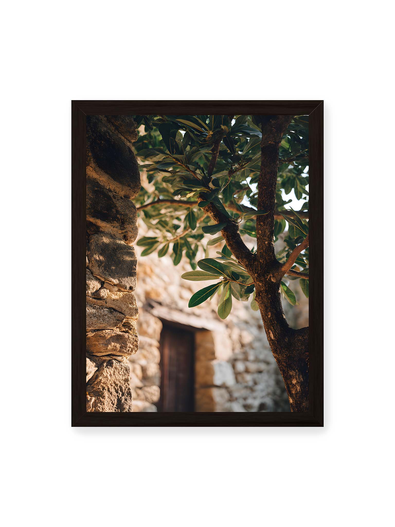 30x40 cm, schwarzer Rahmen – Olivenbaum an mediterraner Steinmauer mit Holztür im warmen Sonnenlicht.