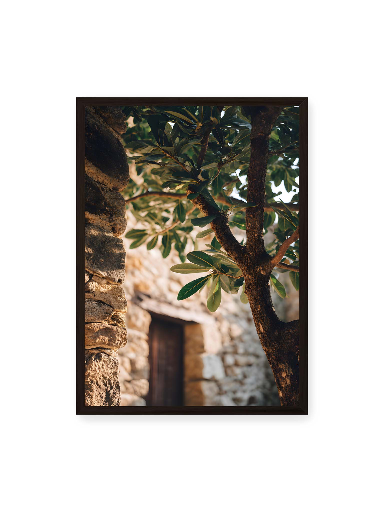 50x70 cm, schwarzer Rahmen – Olivenbaum an mediterraner Steinmauer mit Holztür im warmen Sonnenlicht.