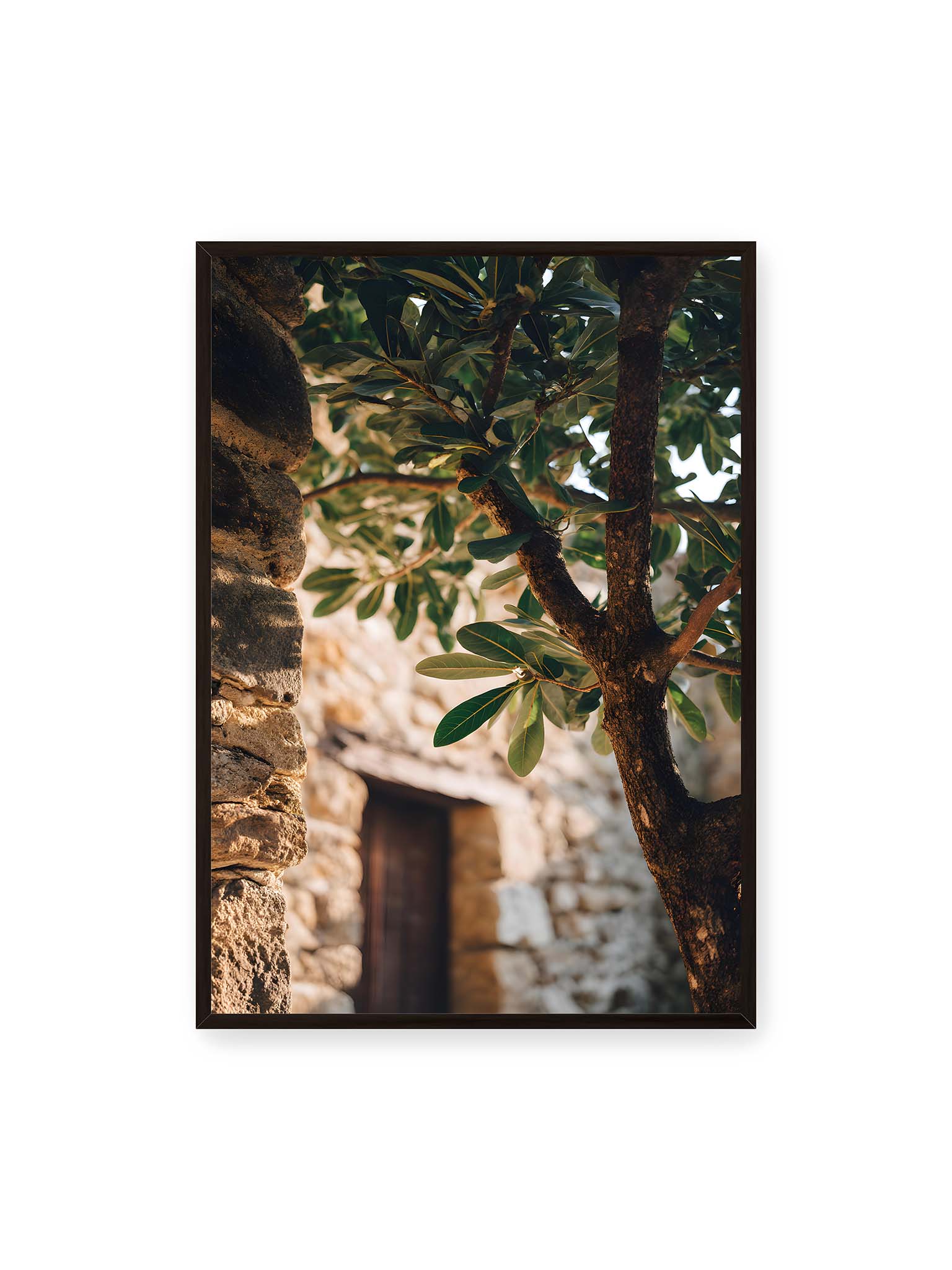 70x100 cm, schwarzer Rahmen – Olivenbaum an mediterraner Steinmauer mit Holztür im warmen Sonnenlicht.