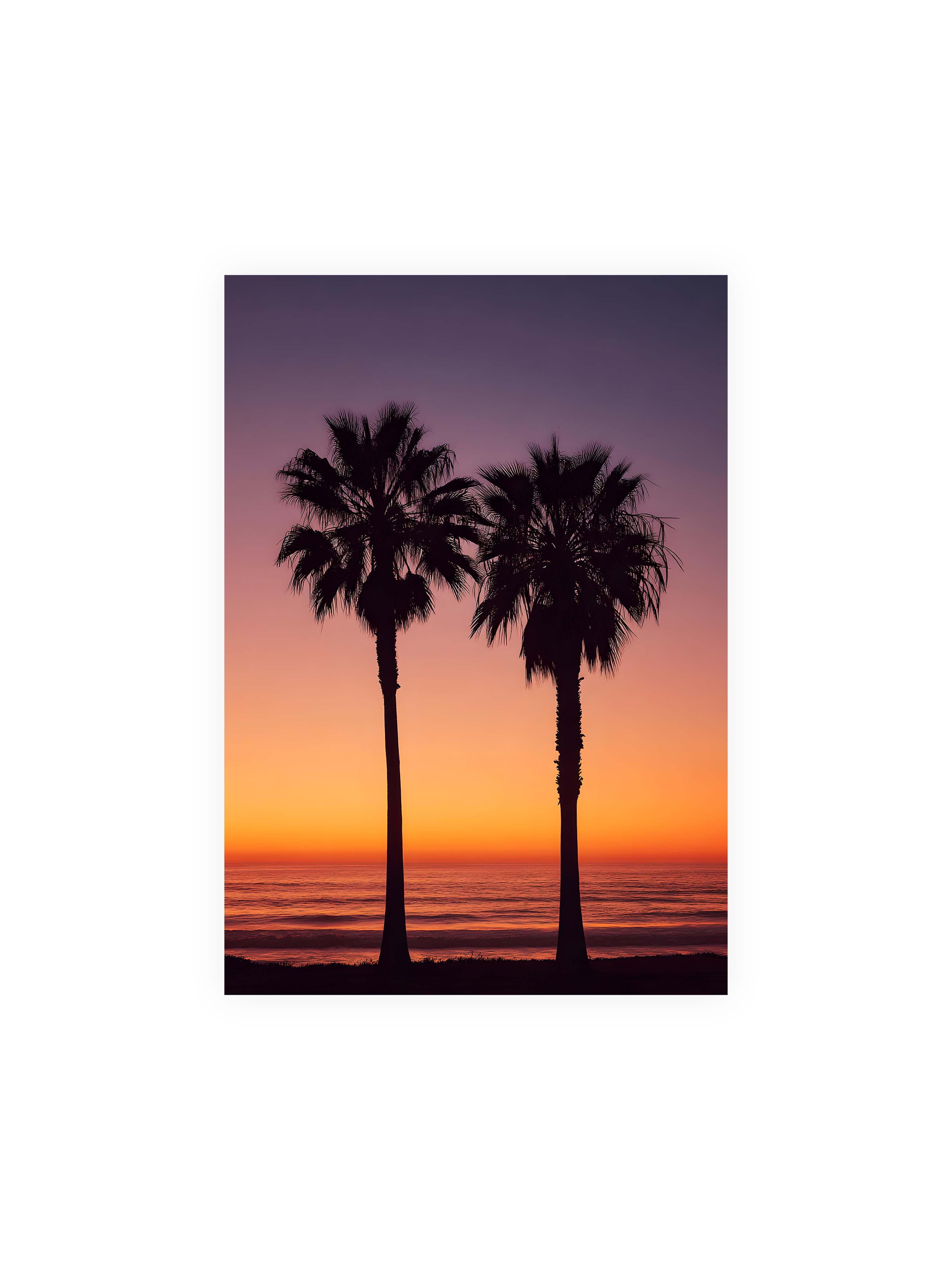 70x100 cm ohne Galerie-Rand ohne Rahmen – Silhouetten von Palmen im Sonnenuntergang mit Meer und sanften Farben im Hintergrund.