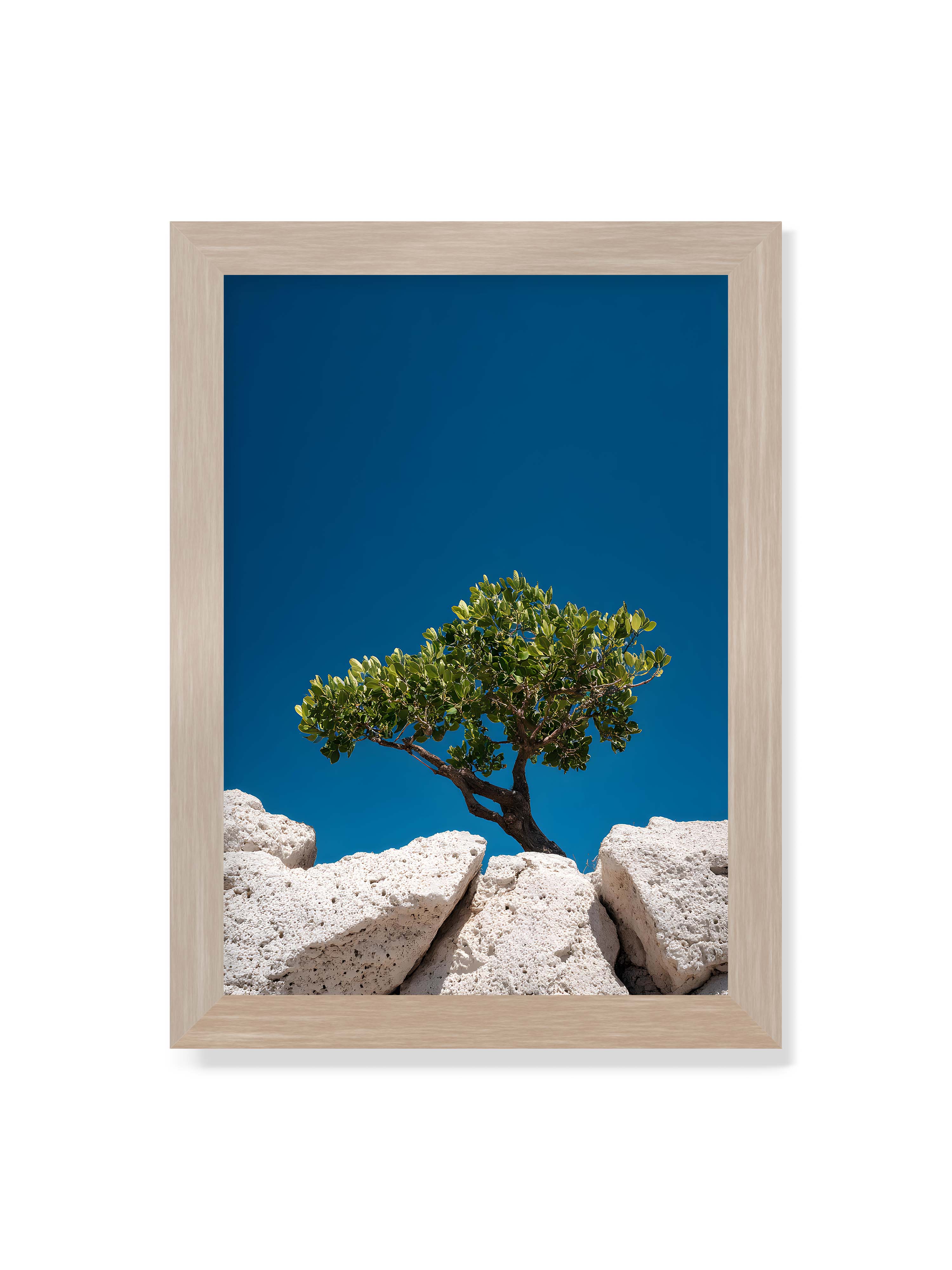 21x30 cm ohne Galerie-Rand im Eichenrahmen – Ein einzelner Baum wächst zwischen Felsen vor einem klaren, blauen Himmel, symbolisierend Resilienz und Naturkraft.