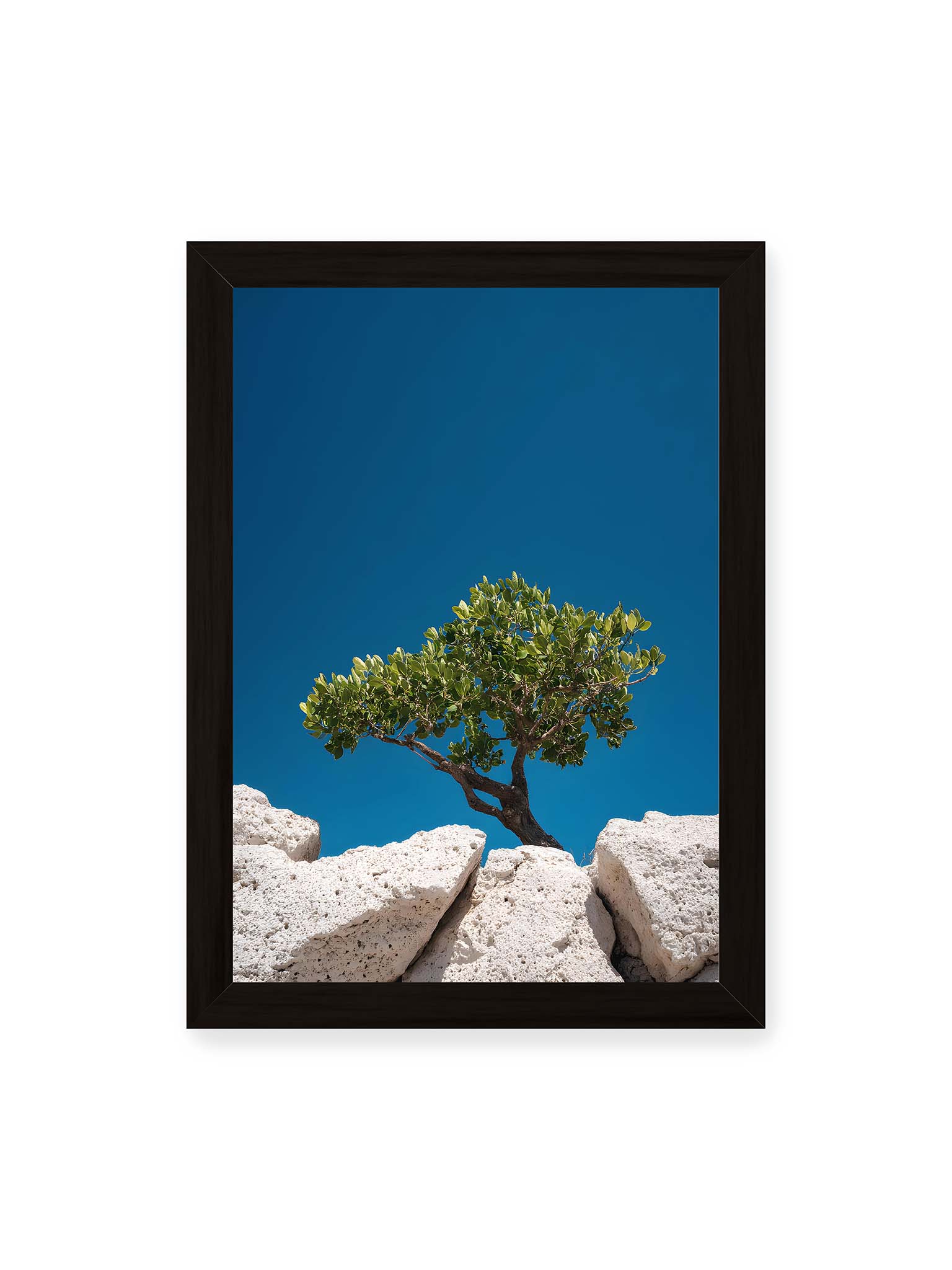 21x30 cm, schwarzer Rahmen – Ein einzelner Baum wächst zwischen Felsen vor einem klaren, blauen Himmel, symbolisierend Resilienz und Naturkraft.