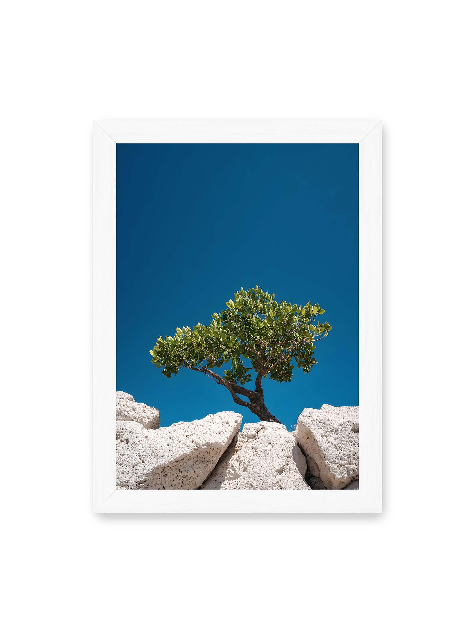 21x30 cm, weißer Rahmen – Ein einzelner Baum wächst zwischen Felsen vor einem klaren, blauen Himmel, symbolisierend Resilienz und Naturkraft.
