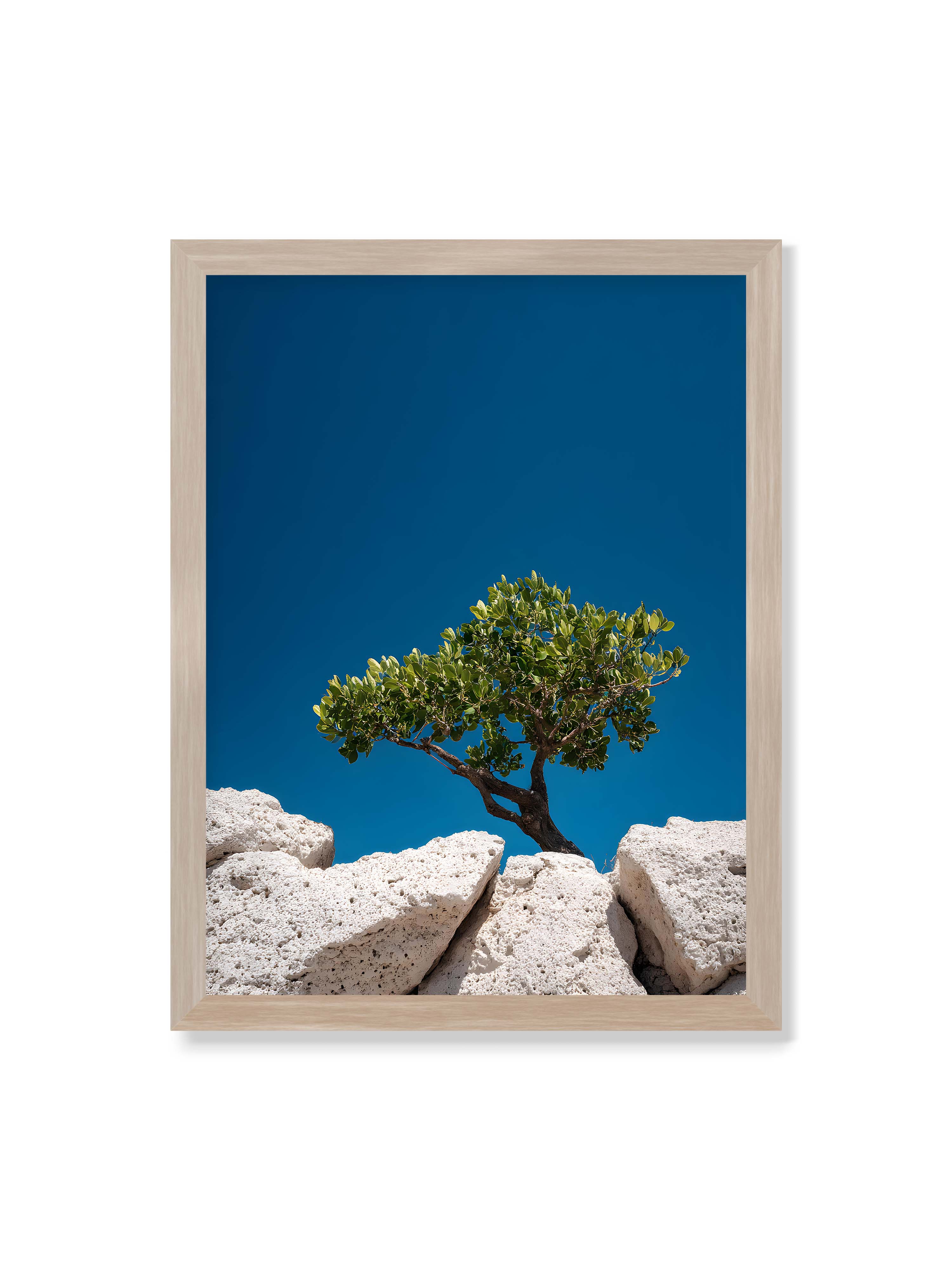 30x40 cm ohne Galerie-Rand im Eichenrahmen – Ein einzelner Baum wächst zwischen Felsen vor einem klaren, blauen Himmel, symbolisierend Resilienz und Naturkraft.