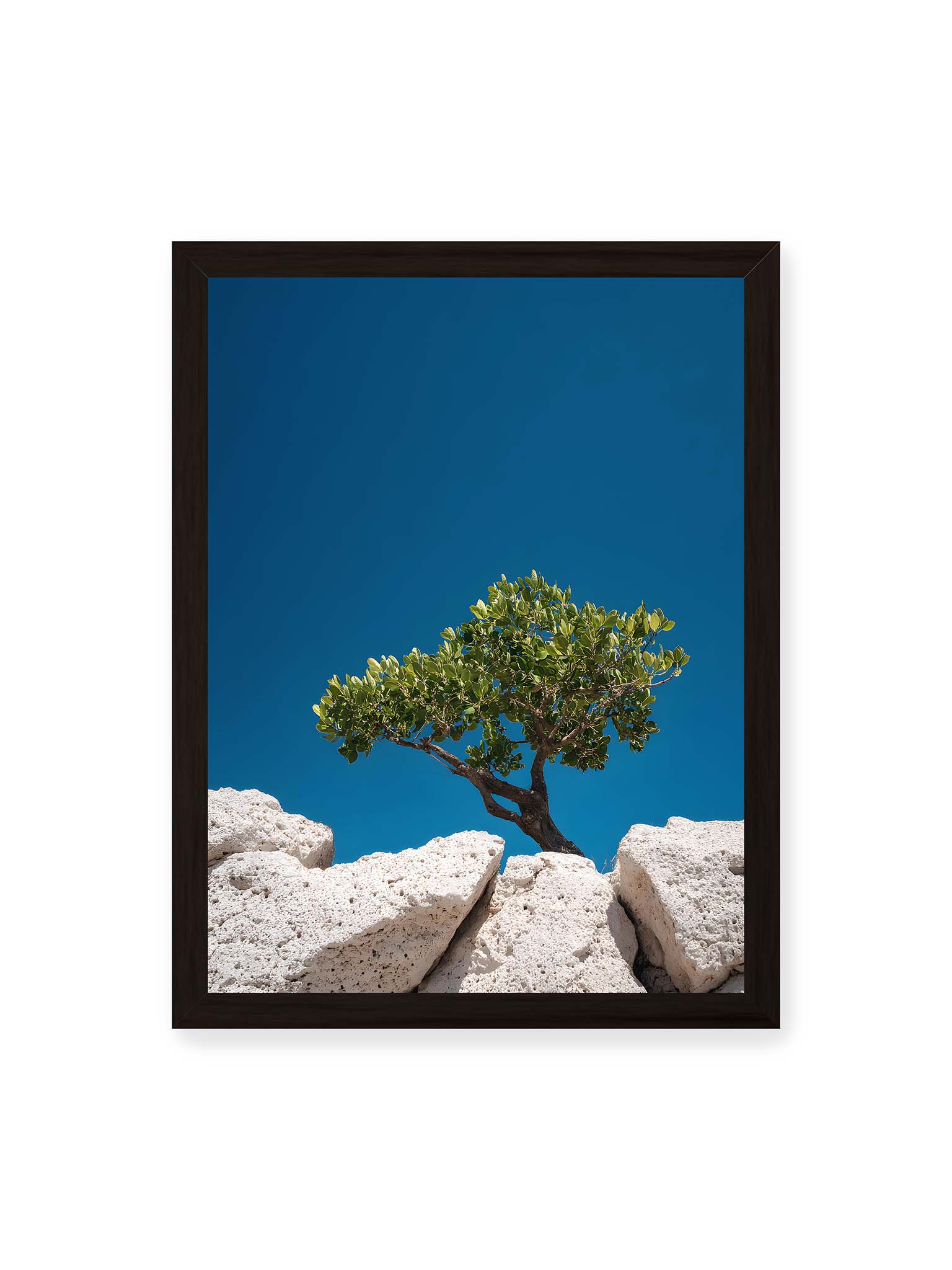 30x40 cm, schwarzer Rahmen – Ein einzelner Baum wächst zwischen Felsen vor einem klaren, blauen Himmel, symbolisierend Resilienz und Naturkraft.