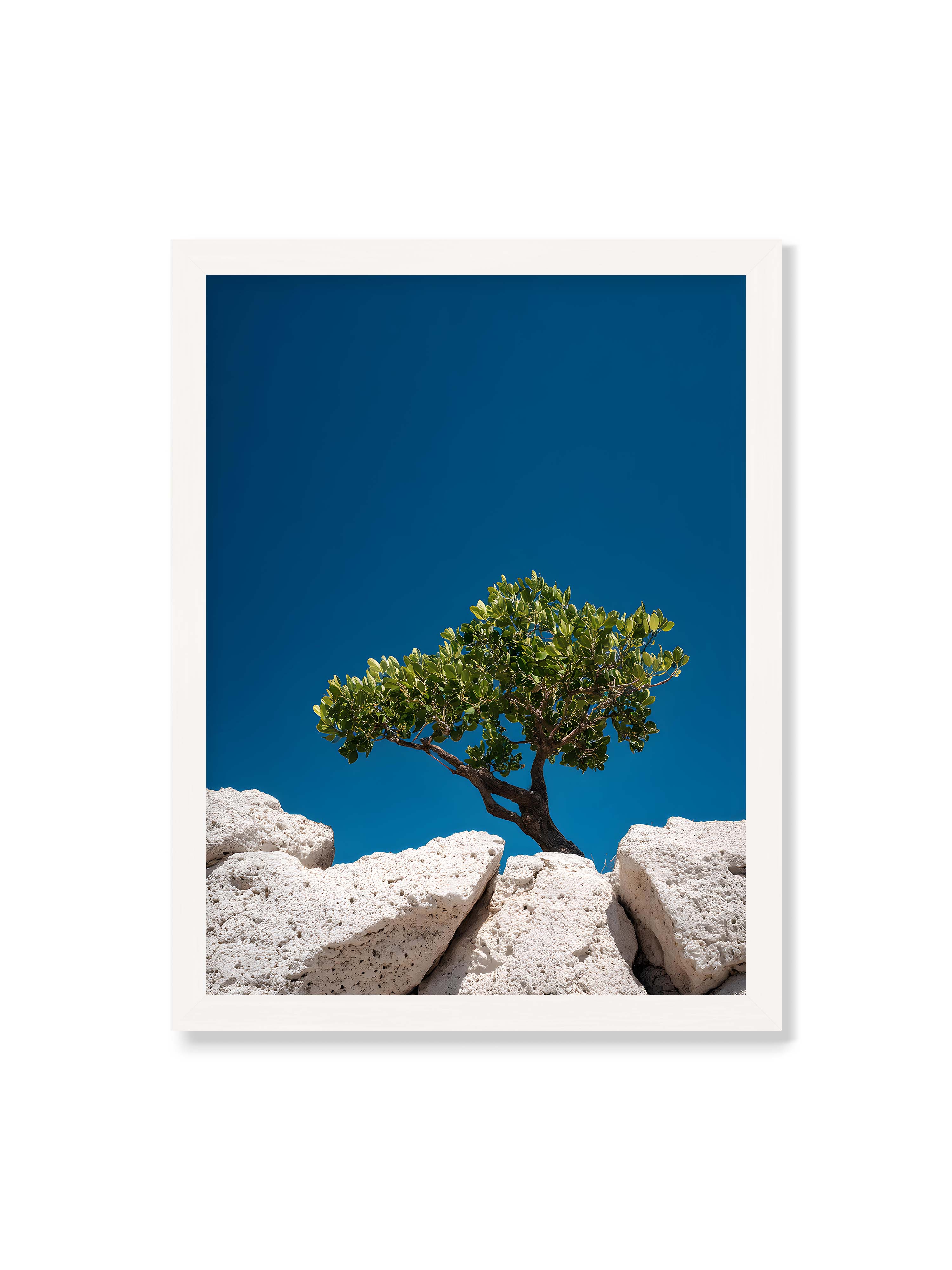 30x40 cm ohne Galerie-Rand mit weißem Rahmen – Ein einzelner Baum wächst zwischen Felsen vor einem klaren, blauen Himmel, symbolisierend Resilienz und Naturkraft.