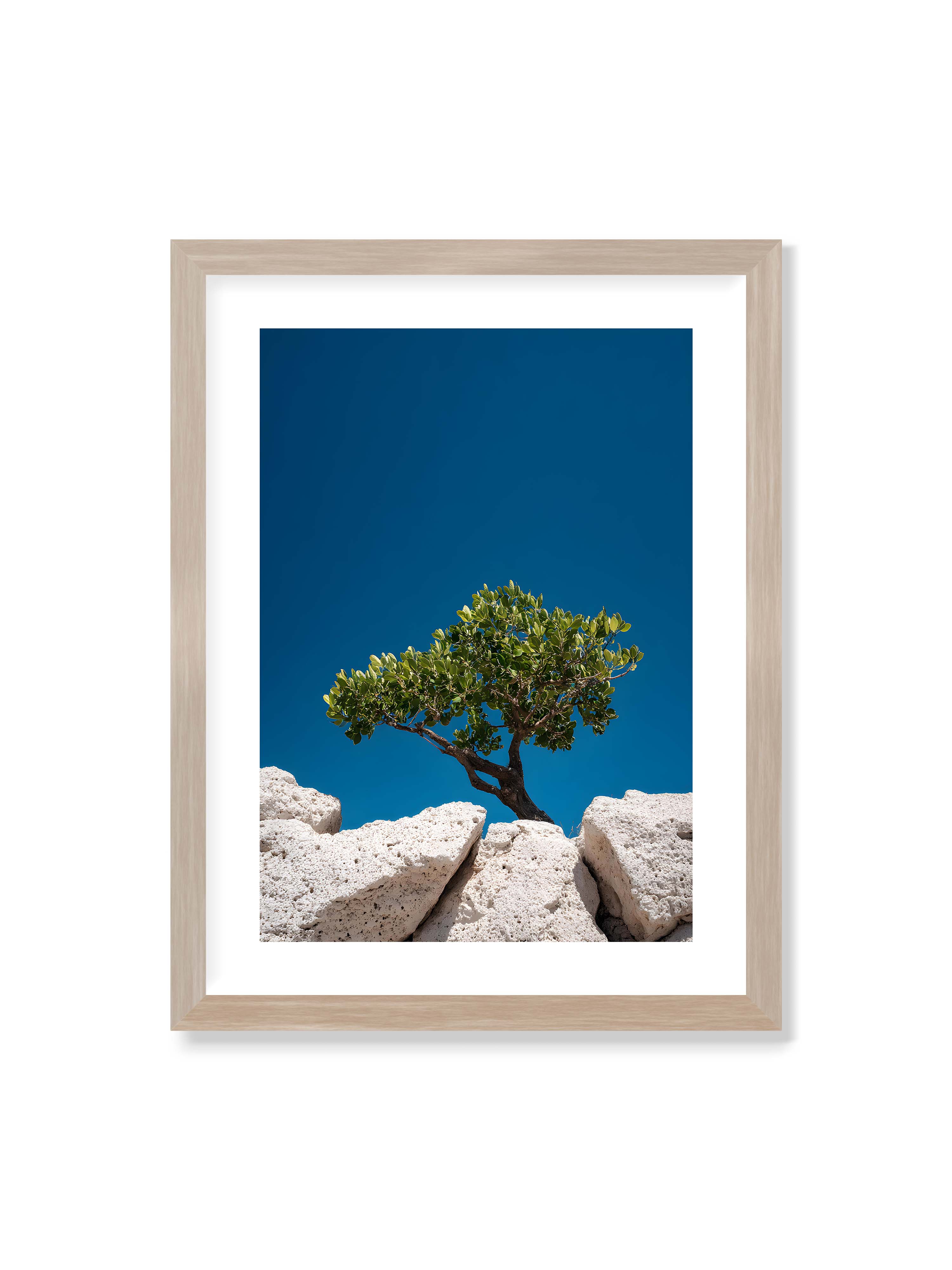 30x40 cm mit weißem Galerie-Rand im Eichenrahmen – Ein einzelner Baum wächst zwischen Felsen vor einem klaren, blauen Himmel, symbolisierend Resilienz und Naturkraft.