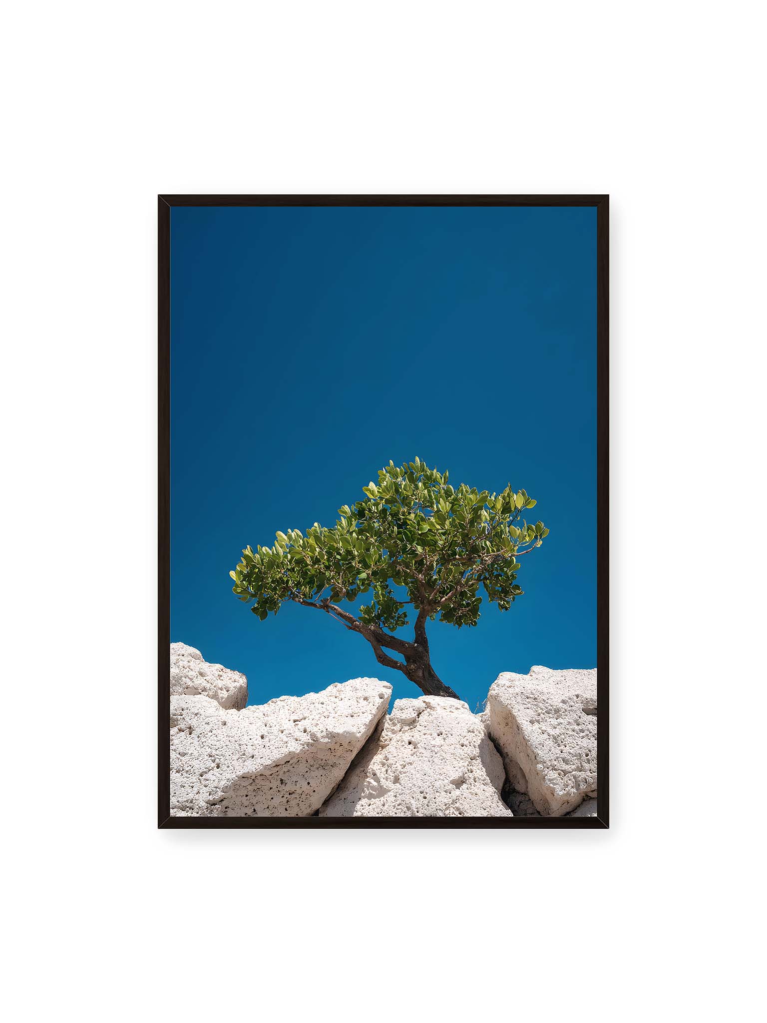70x100 cm, schwarzer Rahmen – Ein einzelner Baum wächst zwischen Felsen vor einem klaren, blauen Himmel, symbolisierend Resilienz und Naturkraft.