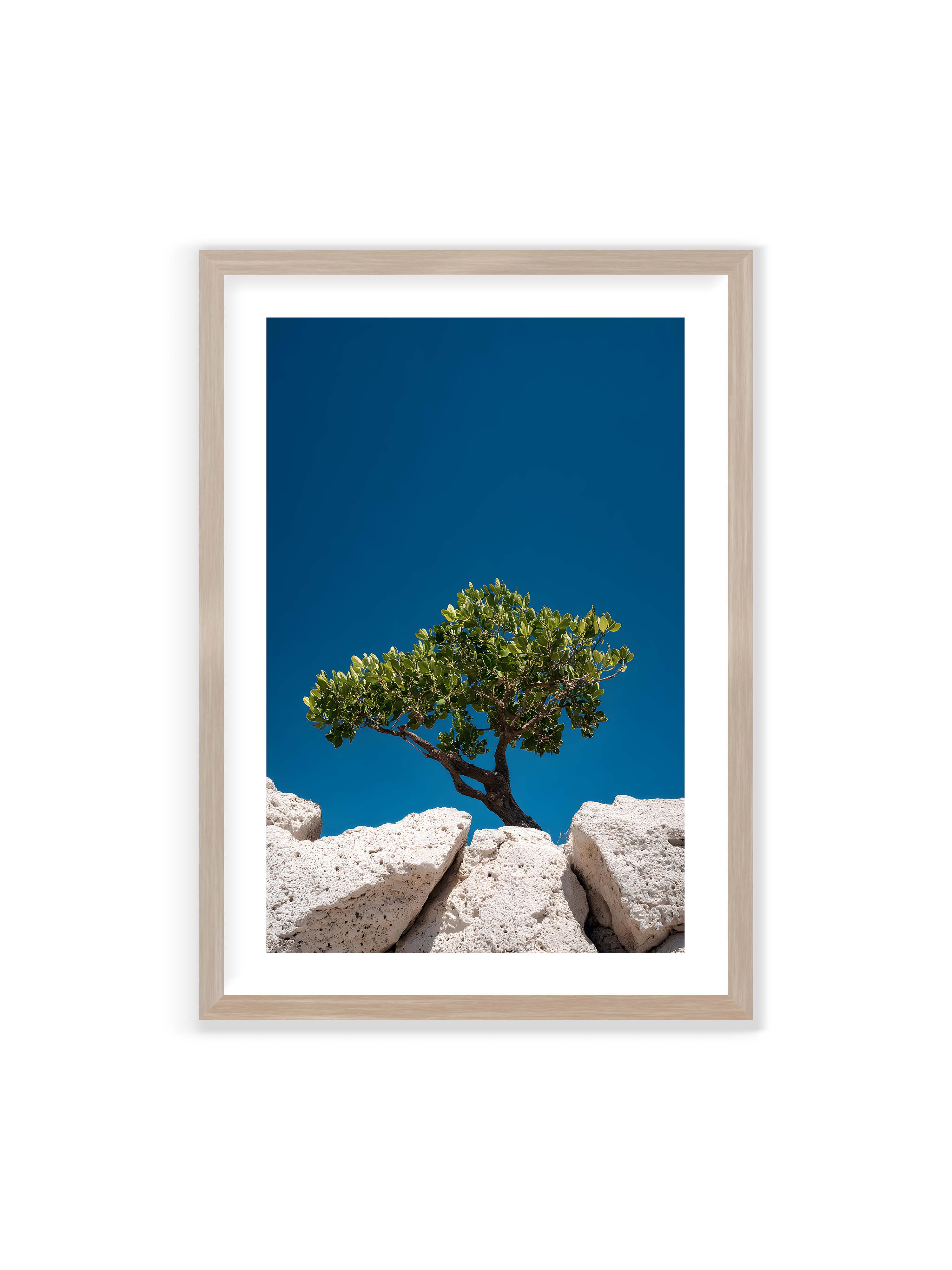 70x100 cm mit weißem Galerie-Rand im Eichenrahmen – Ein einzelner Baum wächst zwischen Felsen vor einem klaren, blauen Himmel, symbolisierend Resilienz und Naturkraft.