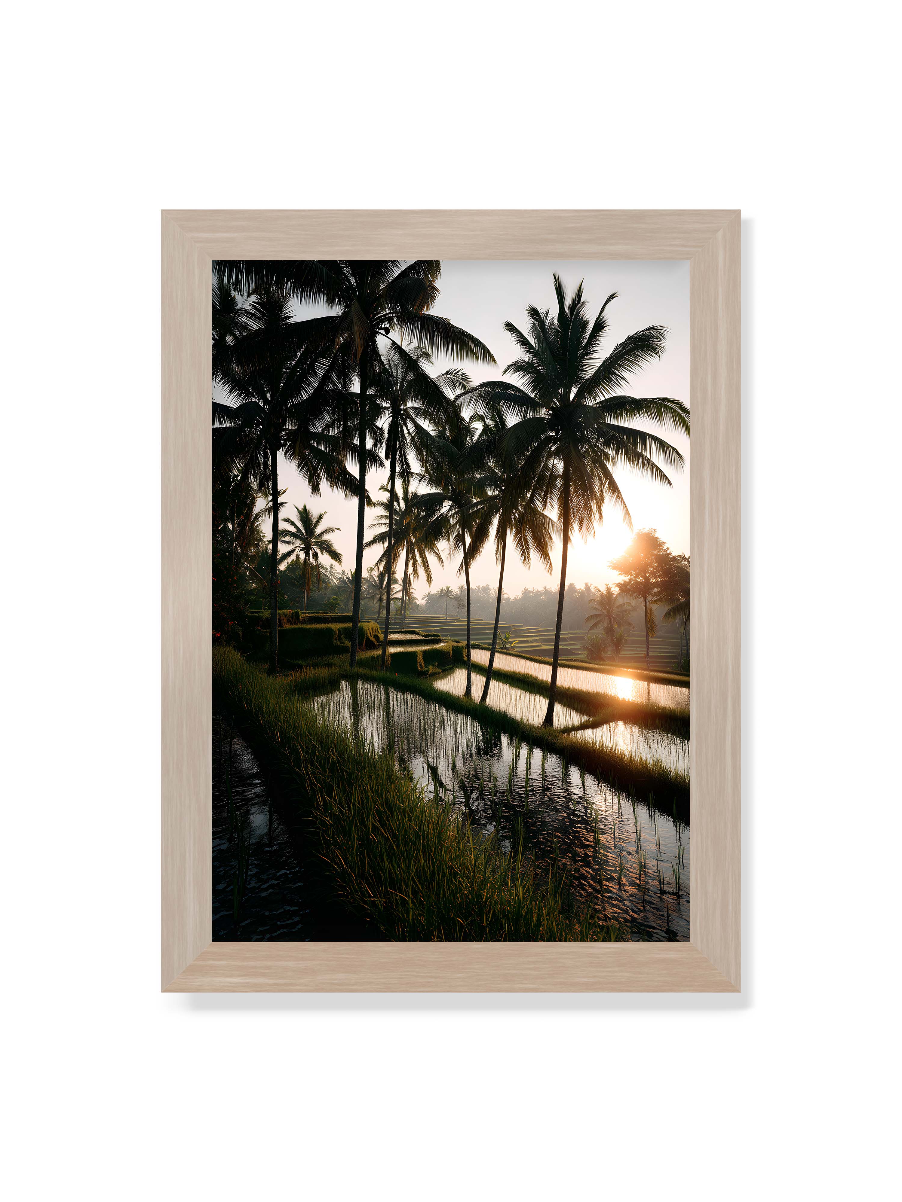 21x30 cm ohne Galerie-Rand im Eichenrahmen – Tropische Reisfelder mit Palmen und einem goldenen Sonnenuntergang, der die Szene reflektiert.