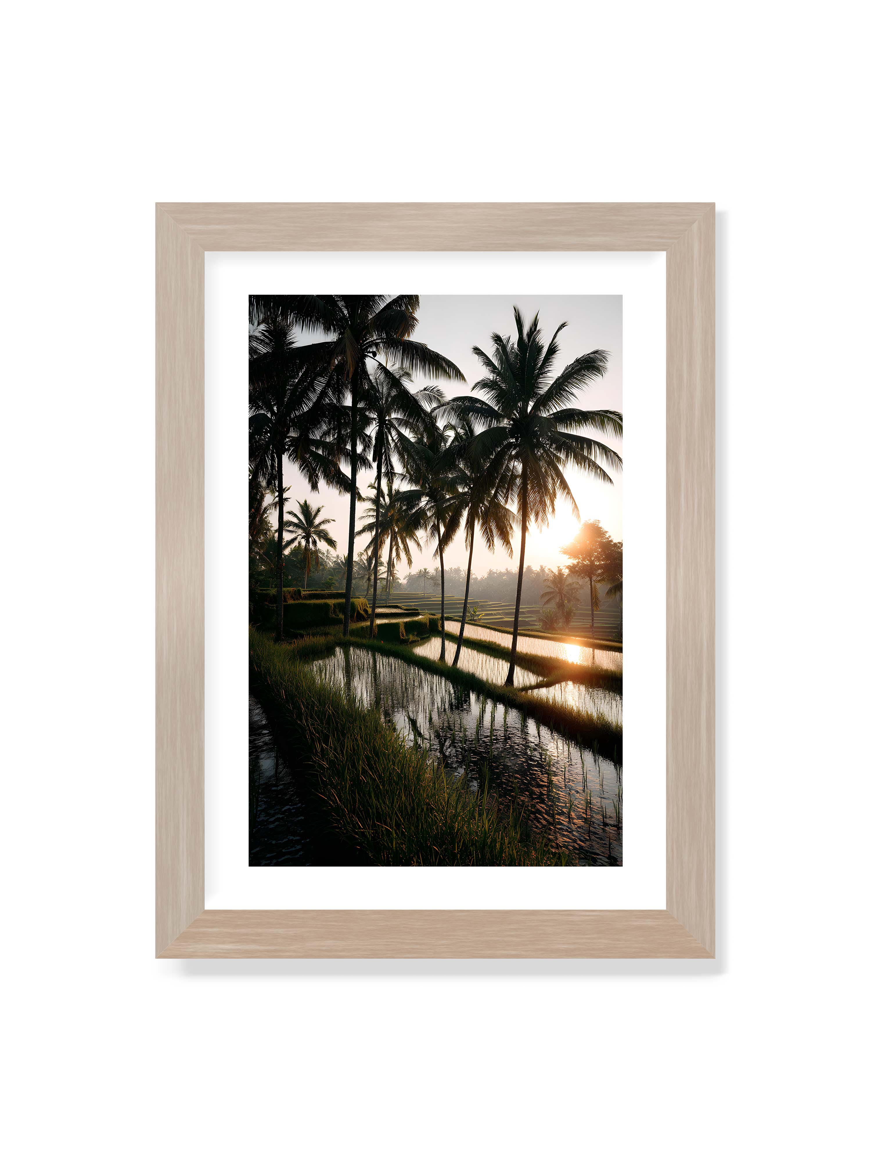 21x30 cm mit weißem Galerie-Rand im Eichenrahmen – Tropische Reisfelder mit Palmen und einem goldenen Sonnenuntergang, der die Szene reflektiert.