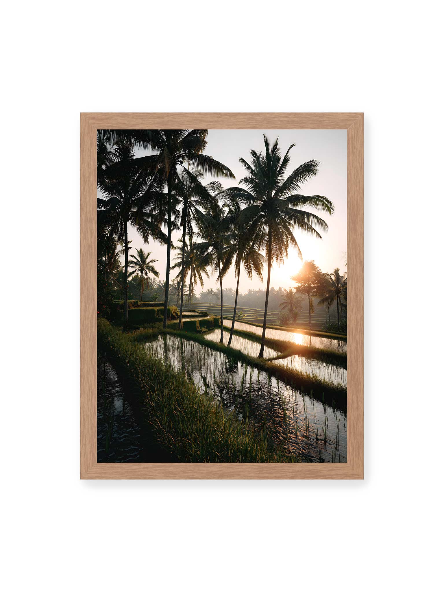 30x40 cm, Eichenrahmen – Tropische Reisfelder mit Palmen und einem goldenen Sonnenuntergang, der die Szene reflektiert.