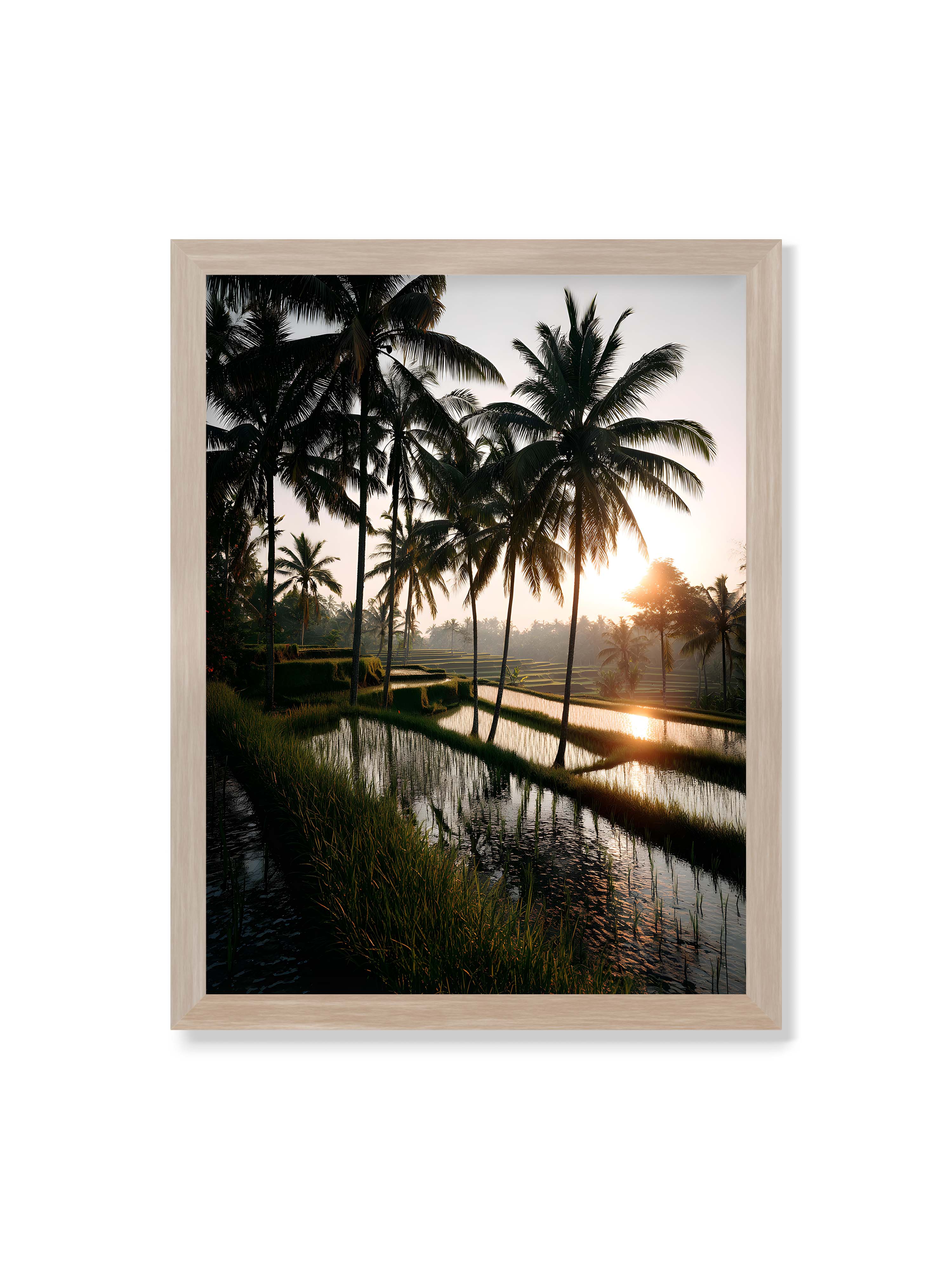 30x40 cm ohne Galerie-Rand im Eichenrahmen – Tropische Reisfelder mit Palmen und einem goldenen Sonnenuntergang, der die Szene reflektiert.