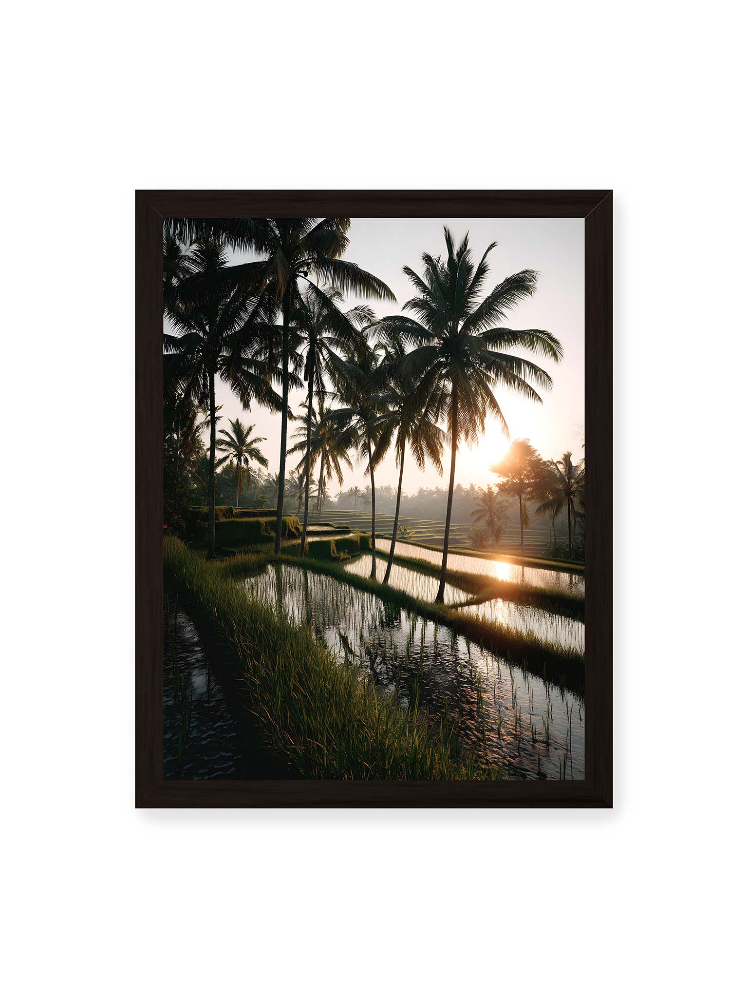 30x40 cm, schwarzer Rahmen – Tropische Reisfelder mit Palmen und einem goldenen Sonnenuntergang, der die Szene reflektiert.