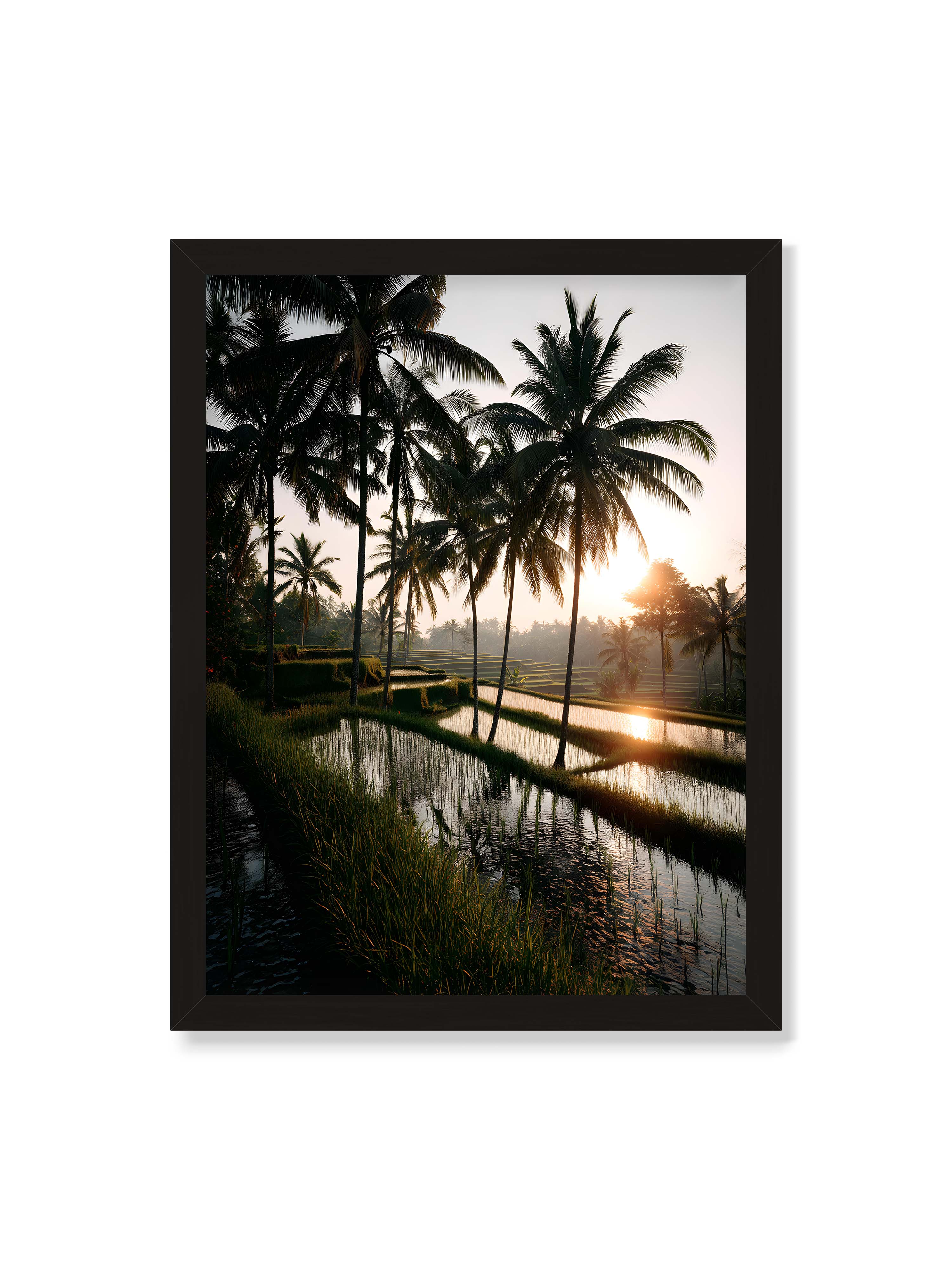 30x40 cm ohne Galerie-Rand mit schwarzem Rahmen – Tropische Reisfelder mit Palmen und einem goldenen Sonnenuntergang, der die Szene reflektiert.