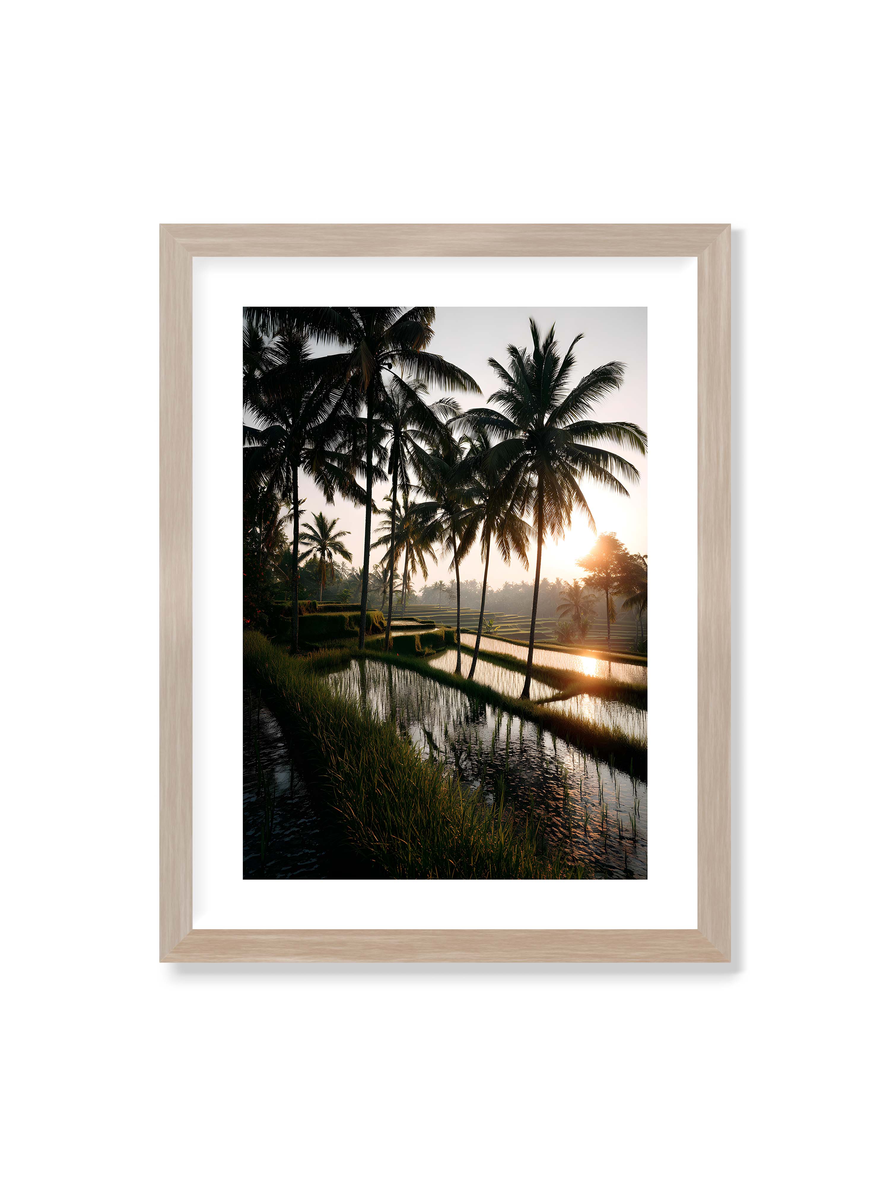 30x40 cm mit weißem Galerie-Rand im Eichenrahmen – Tropische Reisfelder mit Palmen und einem goldenen Sonnenuntergang, der die Szene reflektiert.