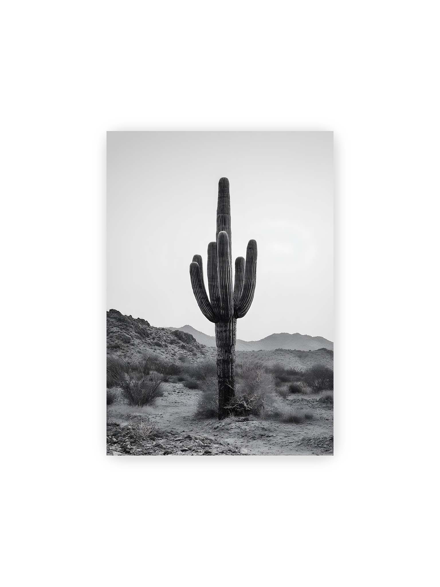 21x30 cm – Einzelner hoher Kaktus in monochromer Wüstenlandschaft mit Bergen im Hintergrund.