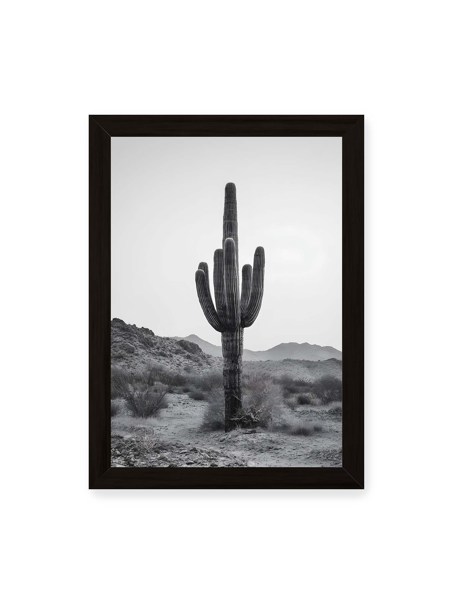21x30 cm, schwarzer Rahmen – Einzelner hoher Kaktus in monochromer Wüstenlandschaft mit Bergen im Hintergrund.