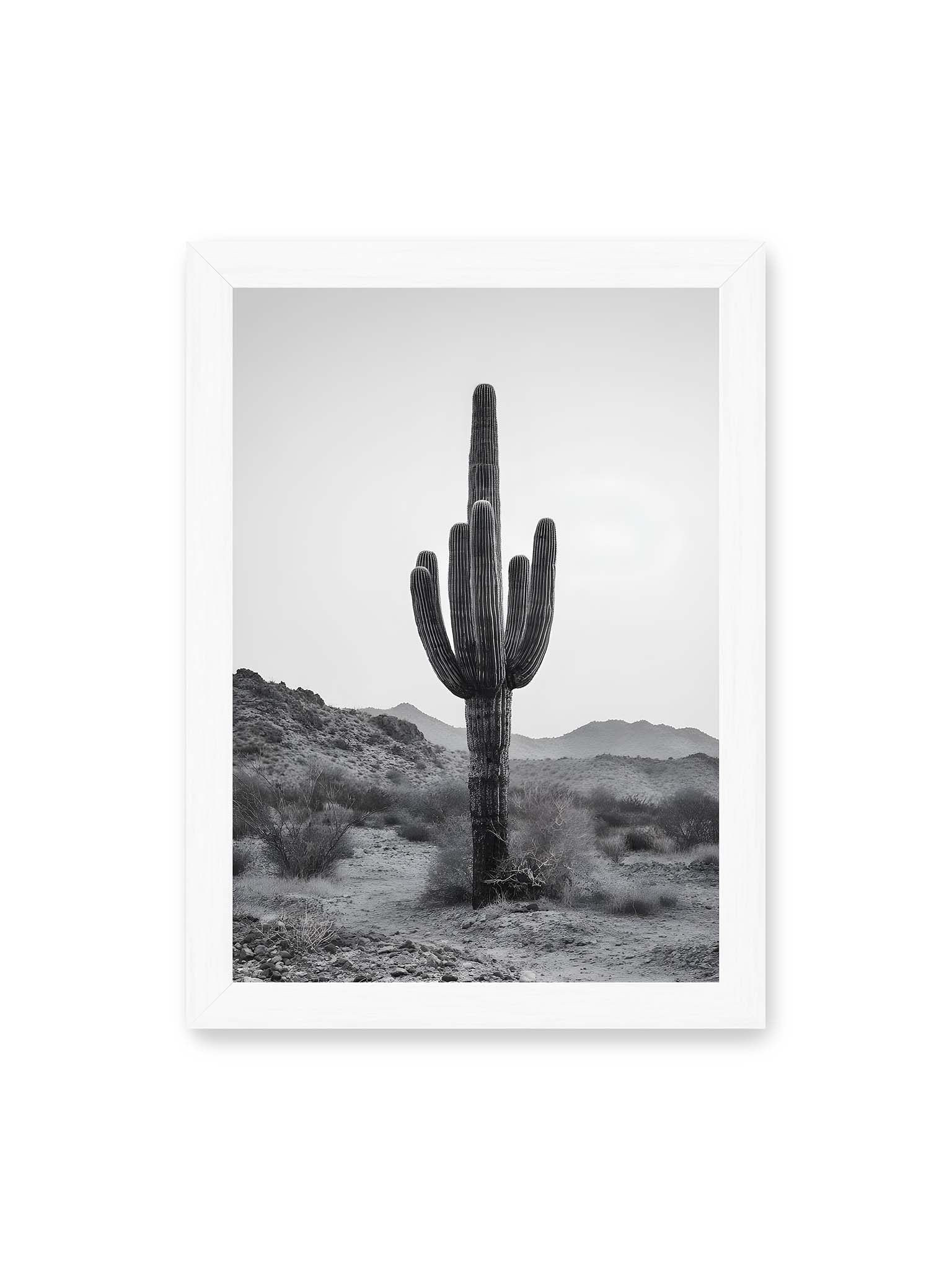21x30 cm, weißer Rahmen – Einzelner hoher Kaktus in monochromer Wüstenlandschaft mit Bergen im Hintergrund.