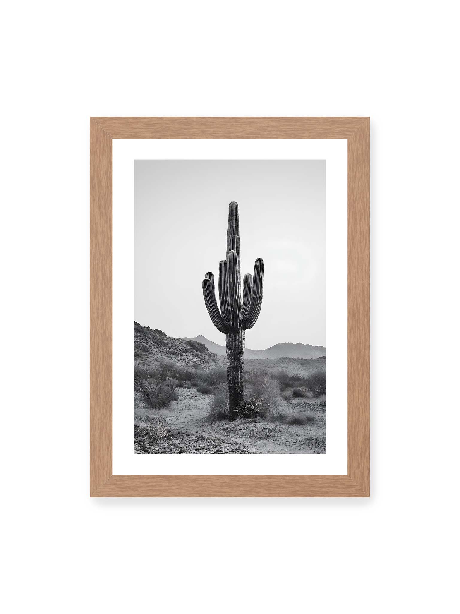 21x30 cm, weißer Galerie-Rand, Eichenrahmen – Einzelner hoher Kaktus in monochromer Wüstenlandschaft mit Bergen im Hintergrund.