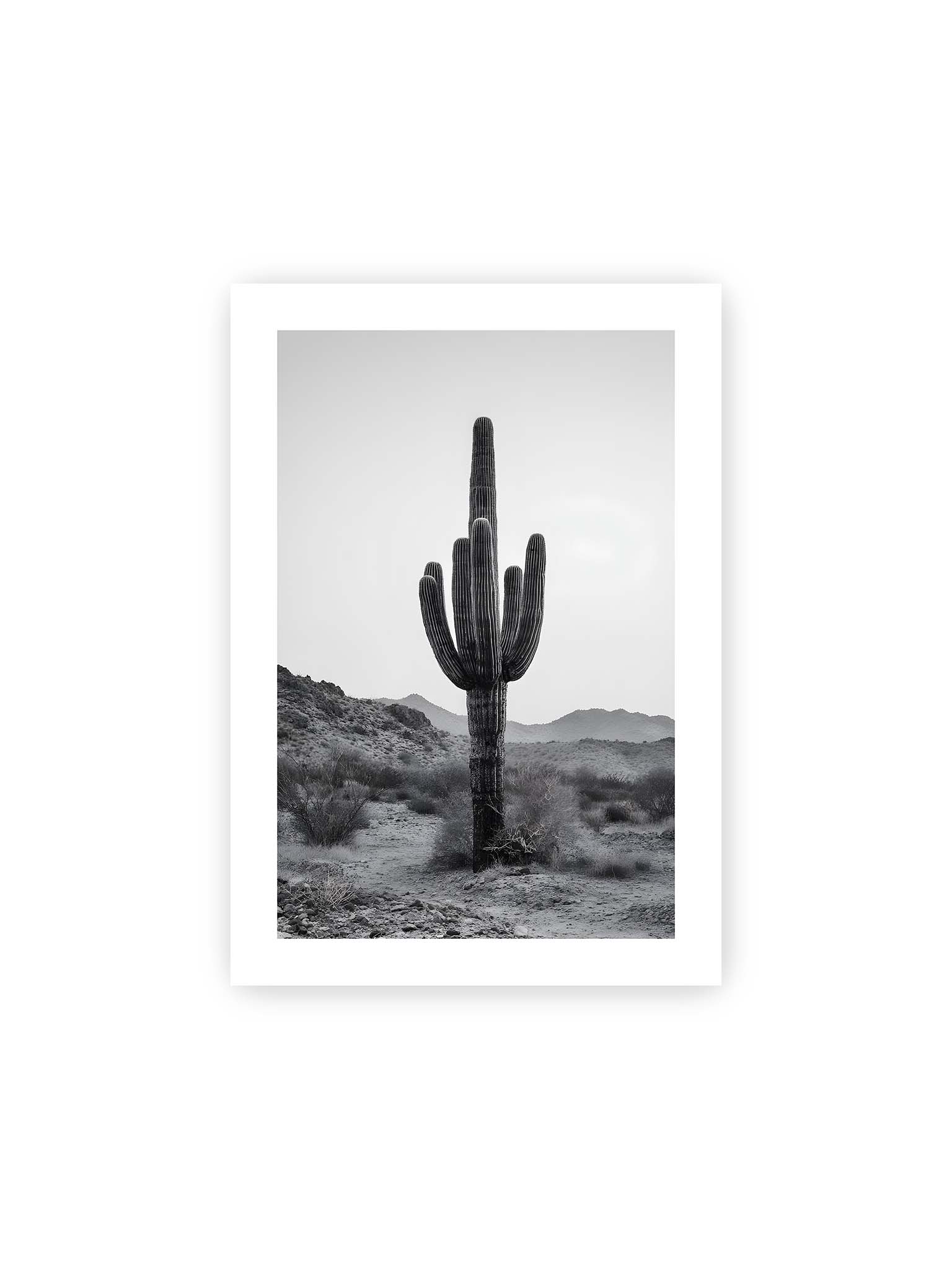21x30 cm, weißer Galerie-Rand – Einzelner hoher Kaktus in monochromer Wüstenlandschaft mit Bergen im Hintergrund.