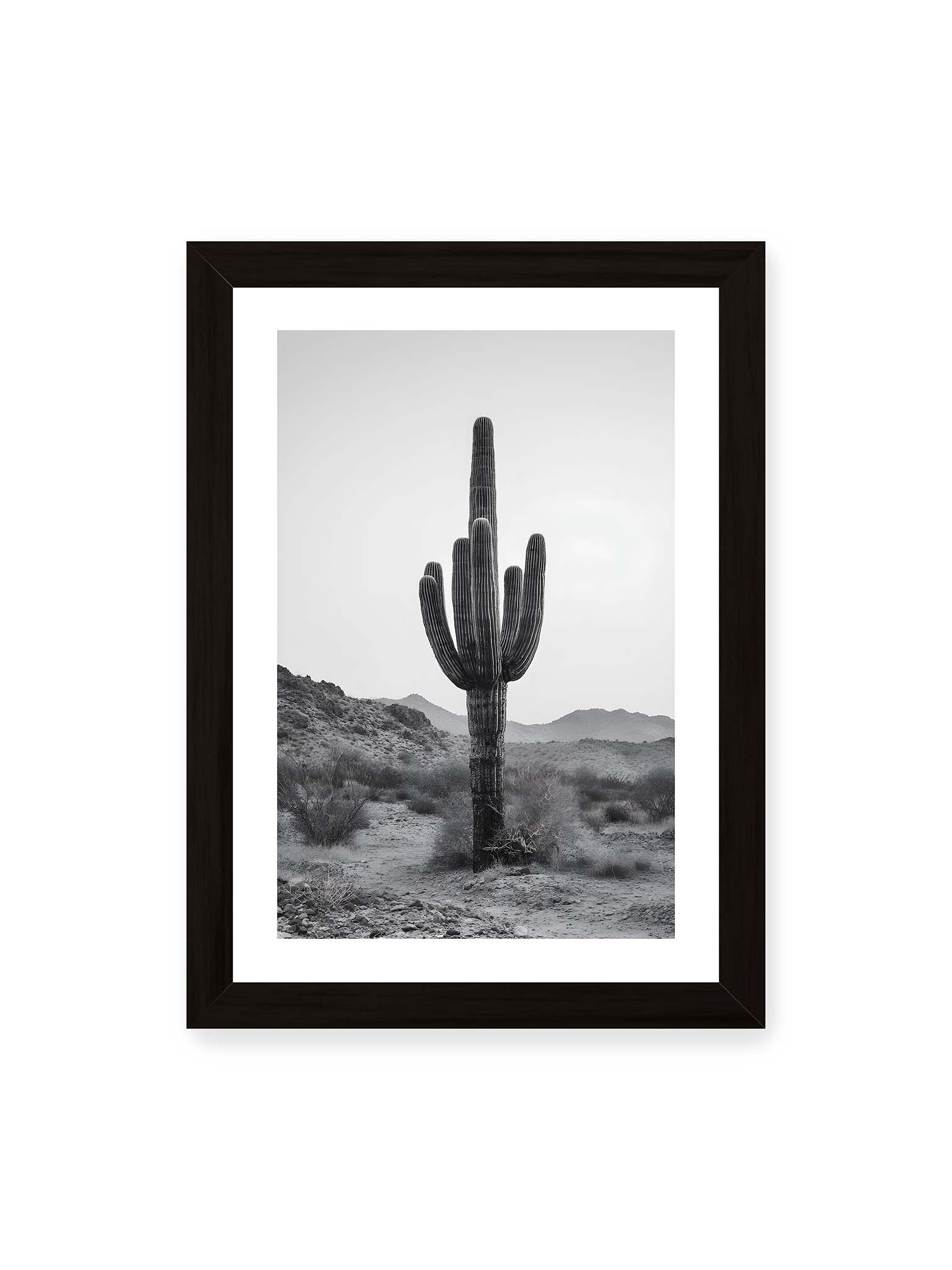 21x30 cm, weißer Galerie-Rand, schwarzer Rahmen – Einzelner hoher Kaktus in monochromer Wüstenlandschaft mit Bergen im Hintergrund.