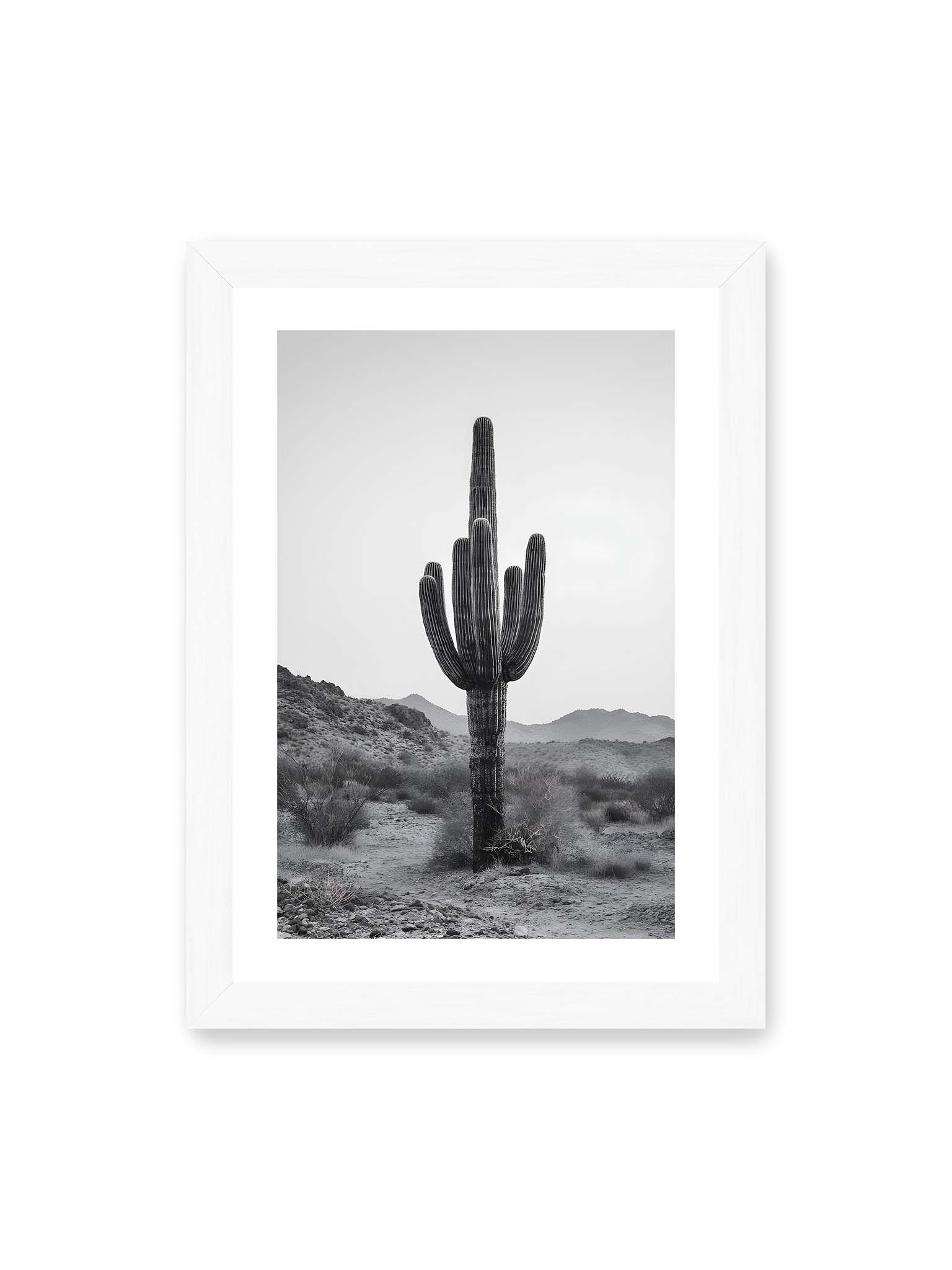 21x30 cm, weißer Galerie-Rand, weißer Rahmen – Einzelner hoher Kaktus in monochromer Wüstenlandschaft mit Bergen im Hintergrund.