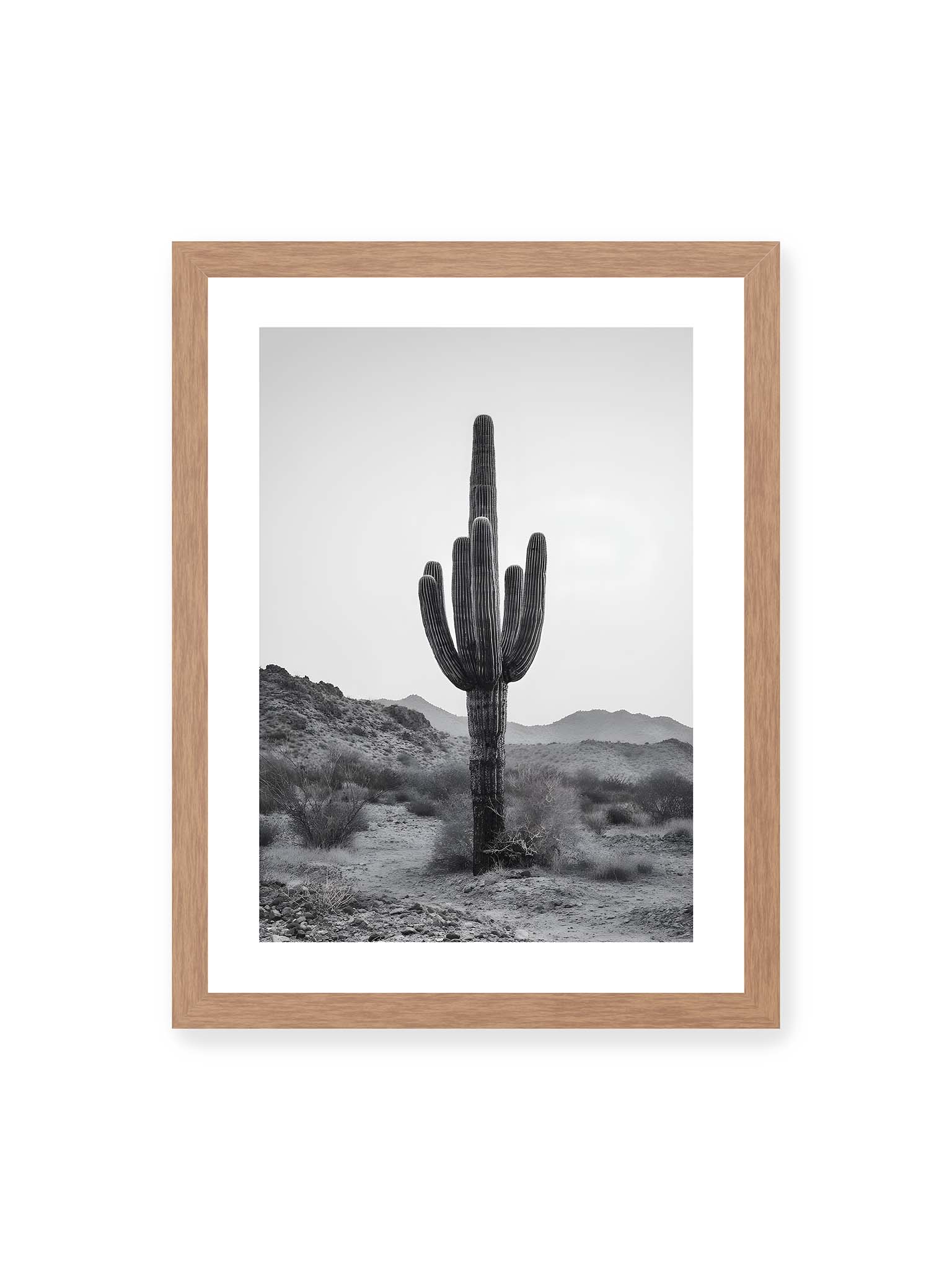 30x40 cm, weißer Galerie-Rand, Eichenrahmen – Einzelner hoher Kaktus in monochromer Wüstenlandschaft mit Bergen im Hintergrund.