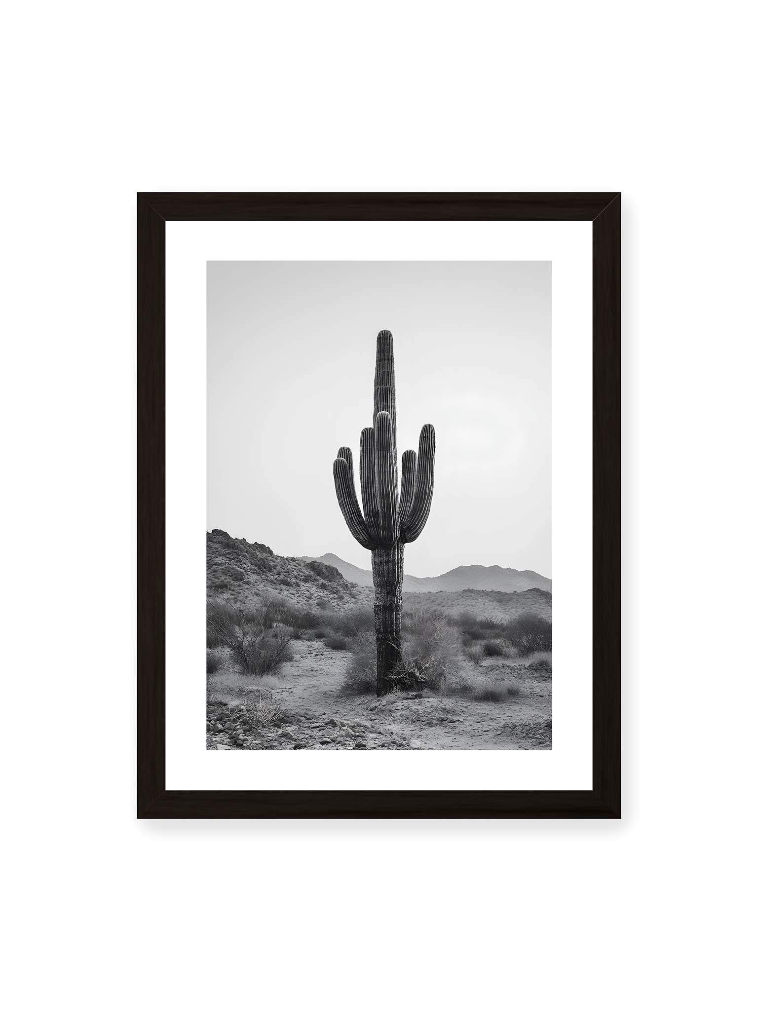30x40 cm, weißer Galerie-Rand, schwarzer Rahmen – Einzelner hoher Kaktus in monochromer Wüstenlandschaft mit Bergen im Hintergrund.