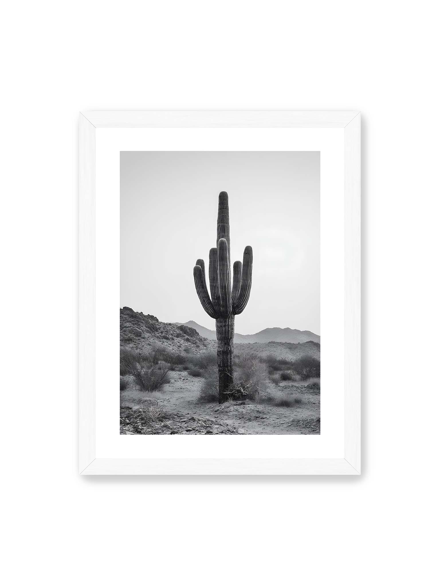 30x40 cm, weißer Galerie-Rand, weißer Rahmen – Einzelner hoher Kaktus in monochromer Wüstenlandschaft mit Bergen im Hintergrund.