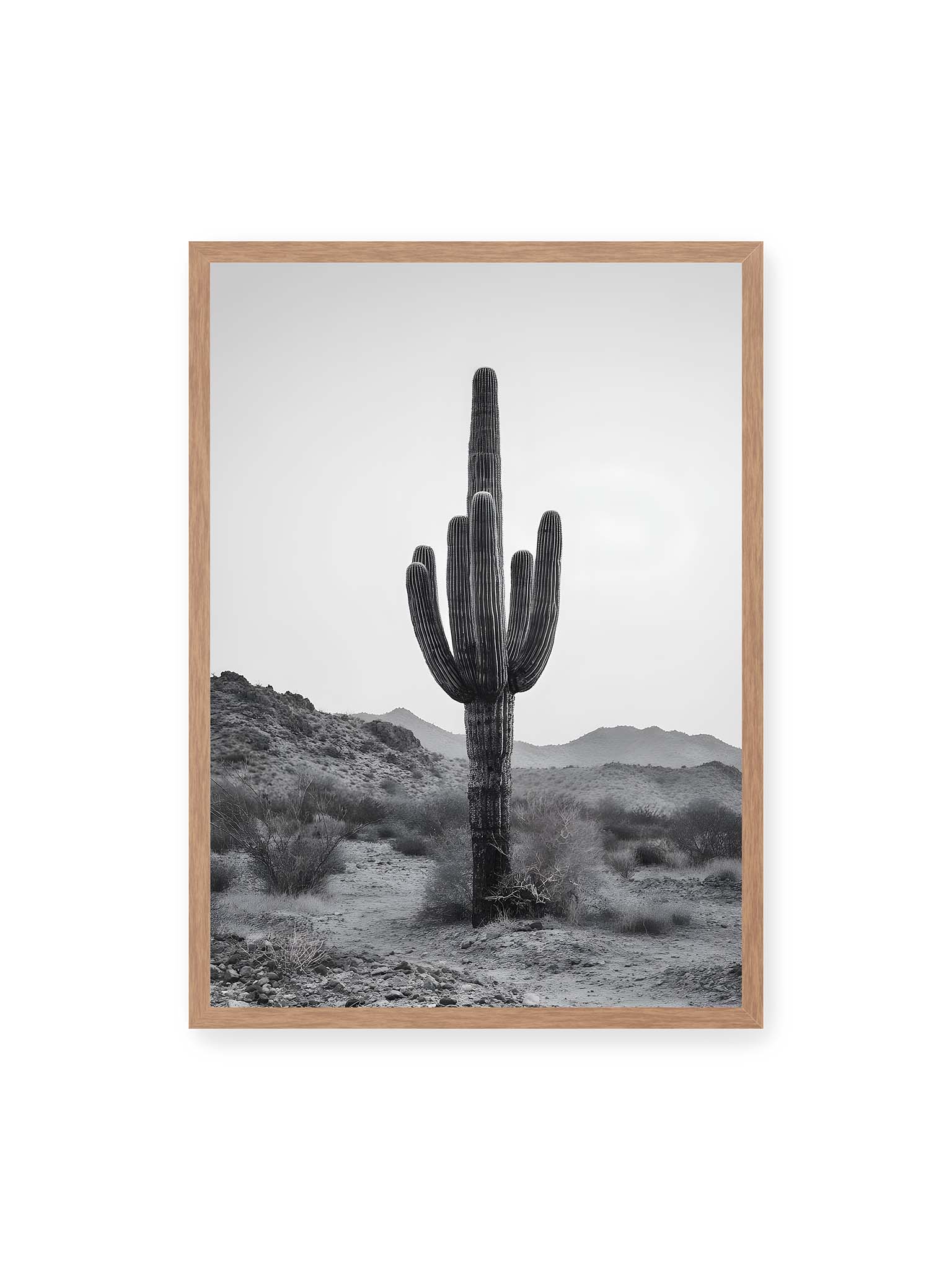 50x70 cm, Eichenrahmen – Einzelner hoher Kaktus in monochromer Wüstenlandschaft mit Bergen im Hintergrund.