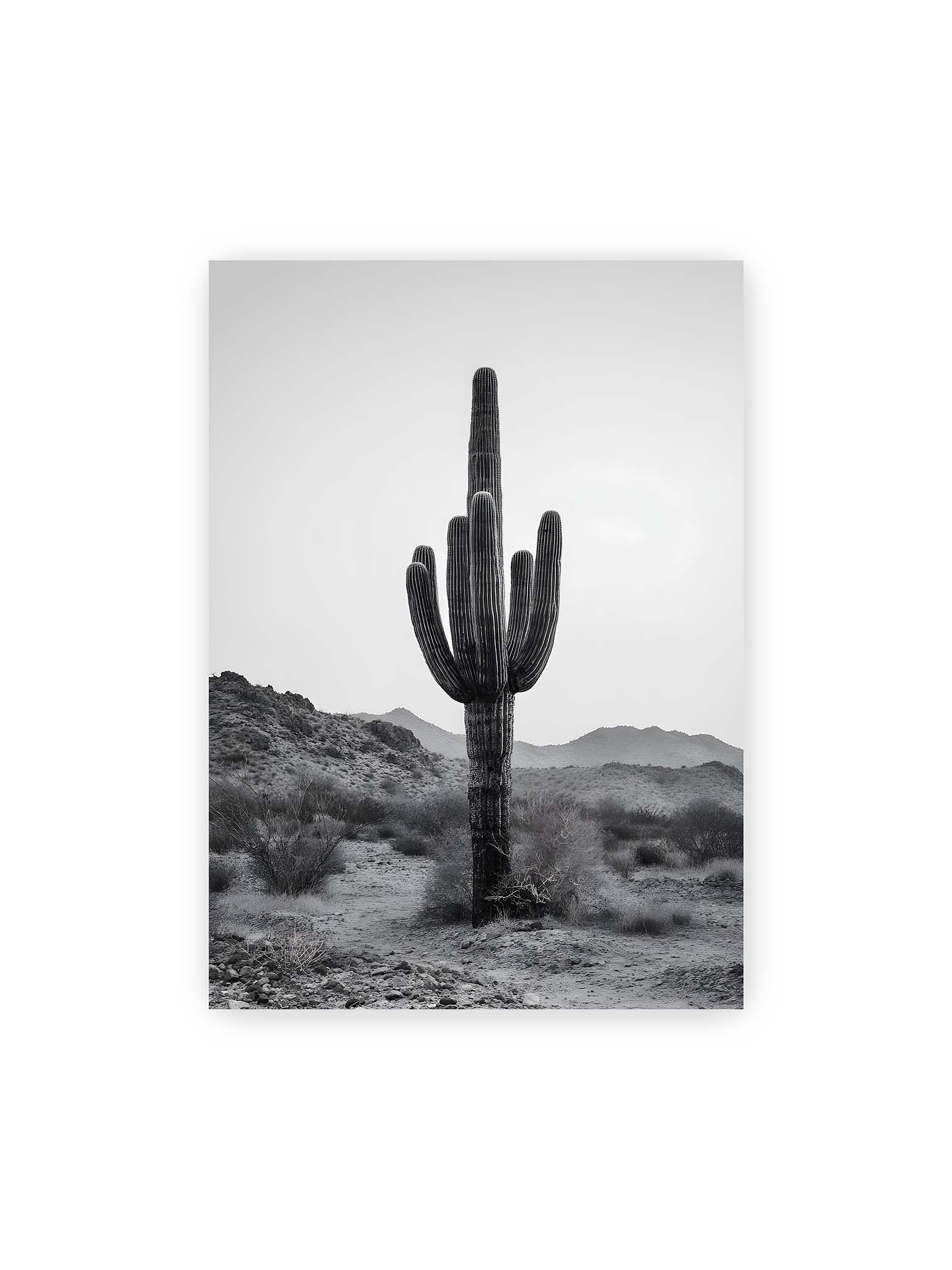 50x70 cm – Einzelner hoher Kaktus in monochromer Wüstenlandschaft mit Bergen im Hintergrund.