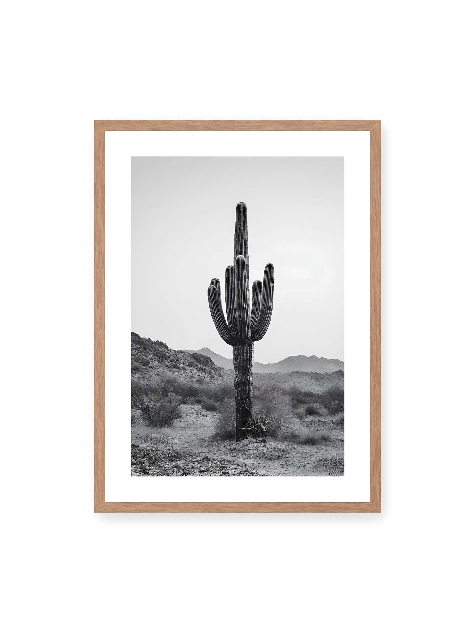 50x70 cm, weißer Galerie-Rand, Eichenrahmen – Einzelner hoher Kaktus in monochromer Wüstenlandschaft mit Bergen im Hintergrund.
