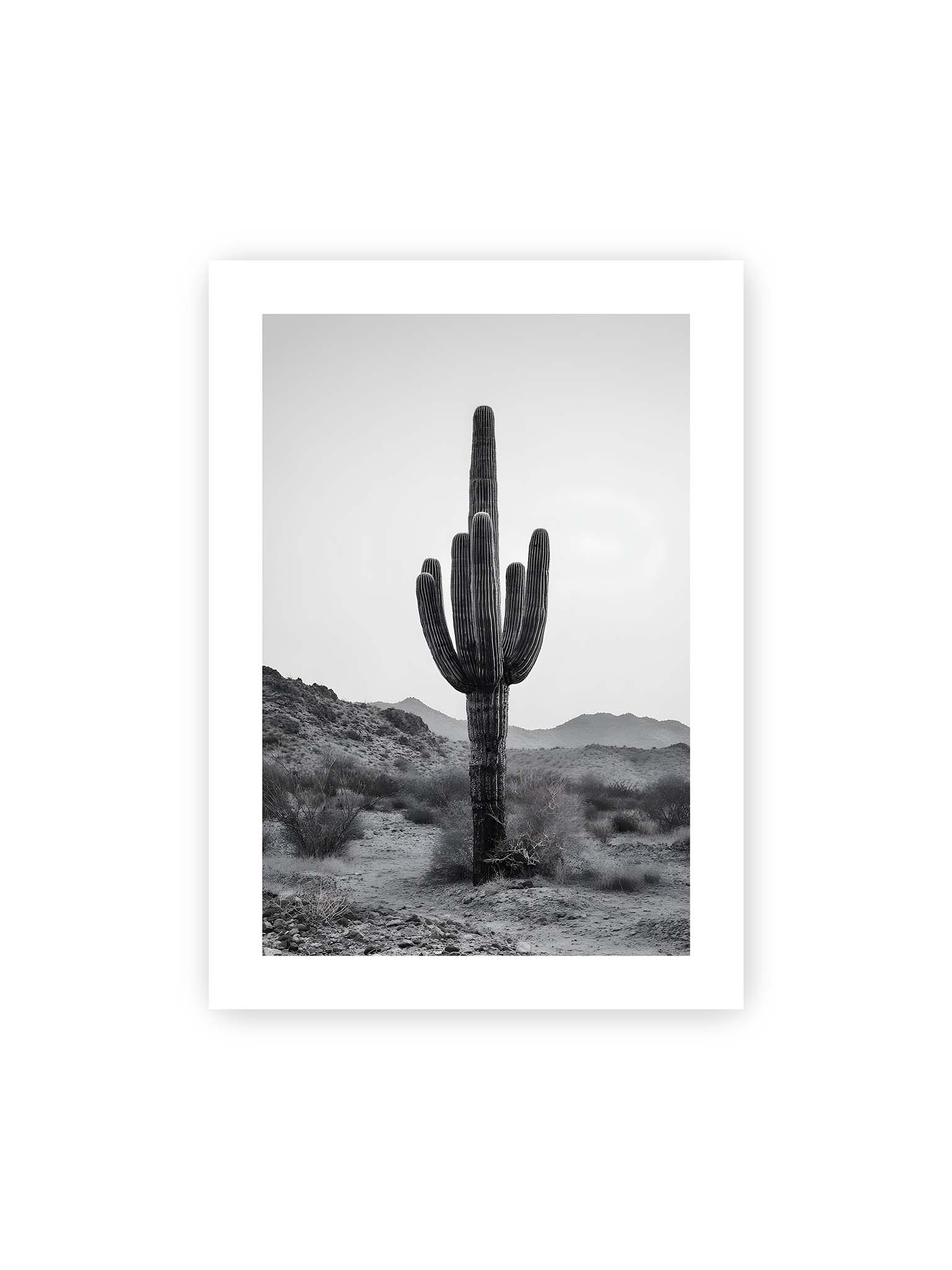 50x70 cm, weißer Galerie-Rand – Einzelner hoher Kaktus in monochromer Wüstenlandschaft mit Bergen im Hintergrund.