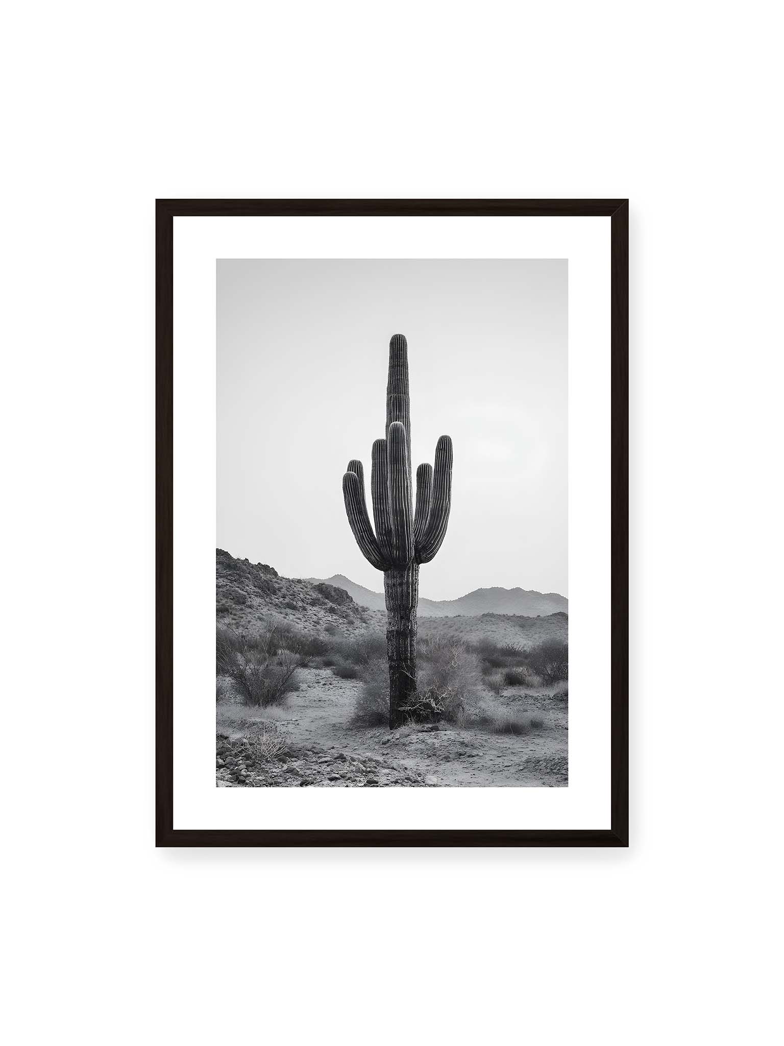 50x70 cm, weißer Galerie-Rand, schwarzer Rahmen – Einzelner hoher Kaktus in monochromer Wüstenlandschaft mit Bergen im Hintergrund.