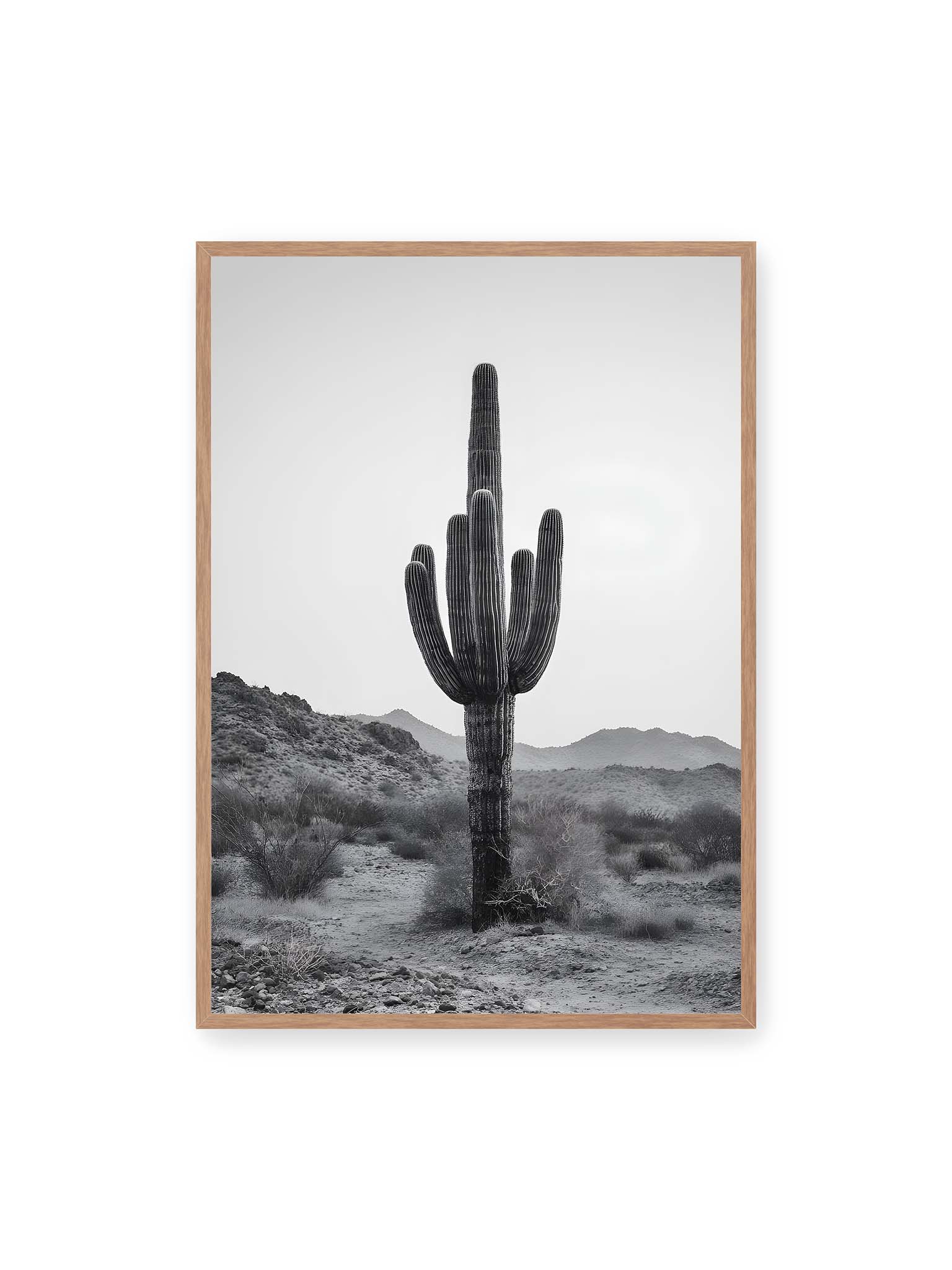 70x100 cm, Eichenrahmen – Einzelner hoher Kaktus in monochromer Wüstenlandschaft mit Bergen im Hintergrund.