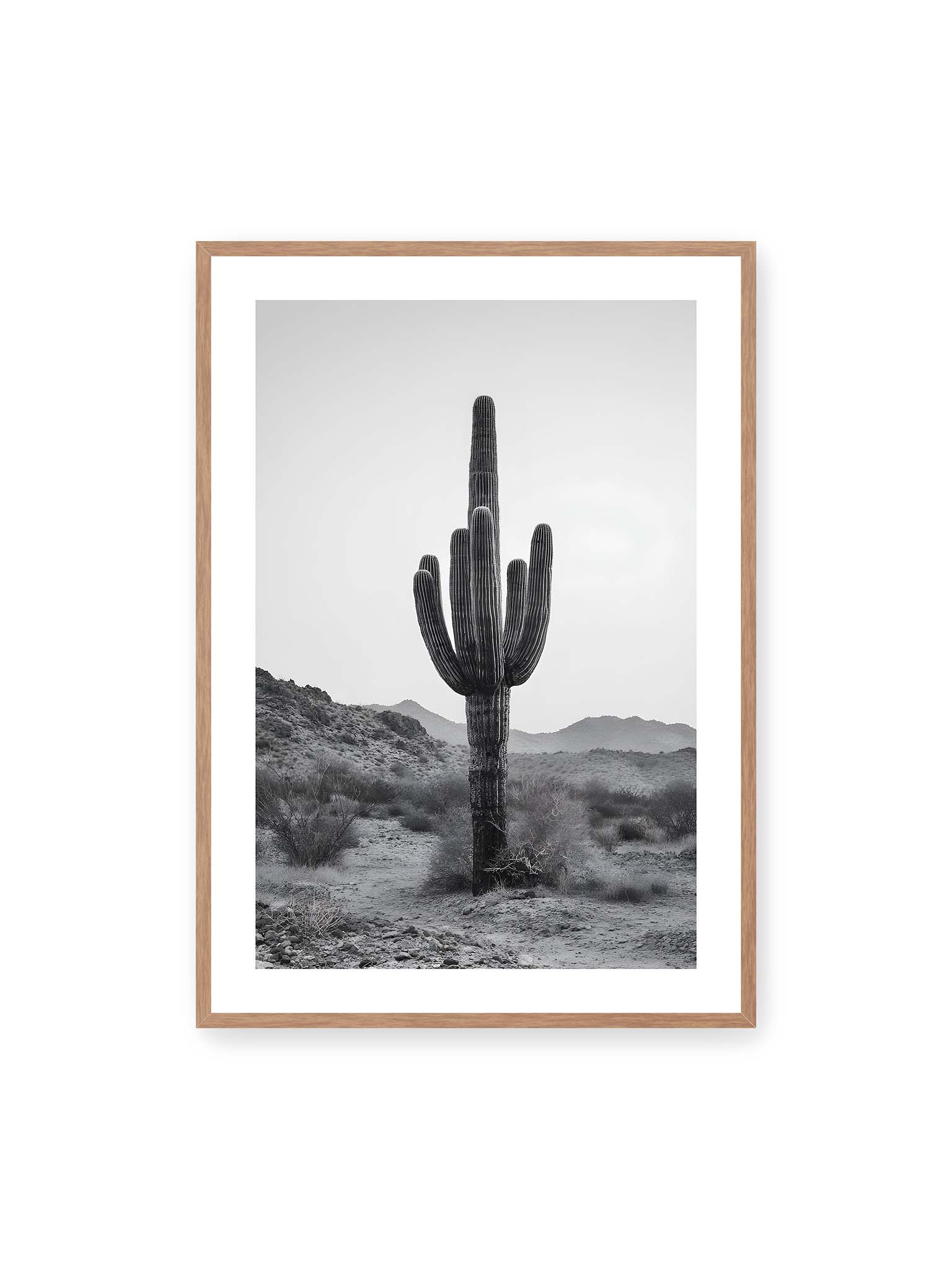 70x100 cm, weißer Galerie-Rand, Eichenrahmen – Einzelner hoher Kaktus in monochromer Wüstenlandschaft mit Bergen im Hintergrund.