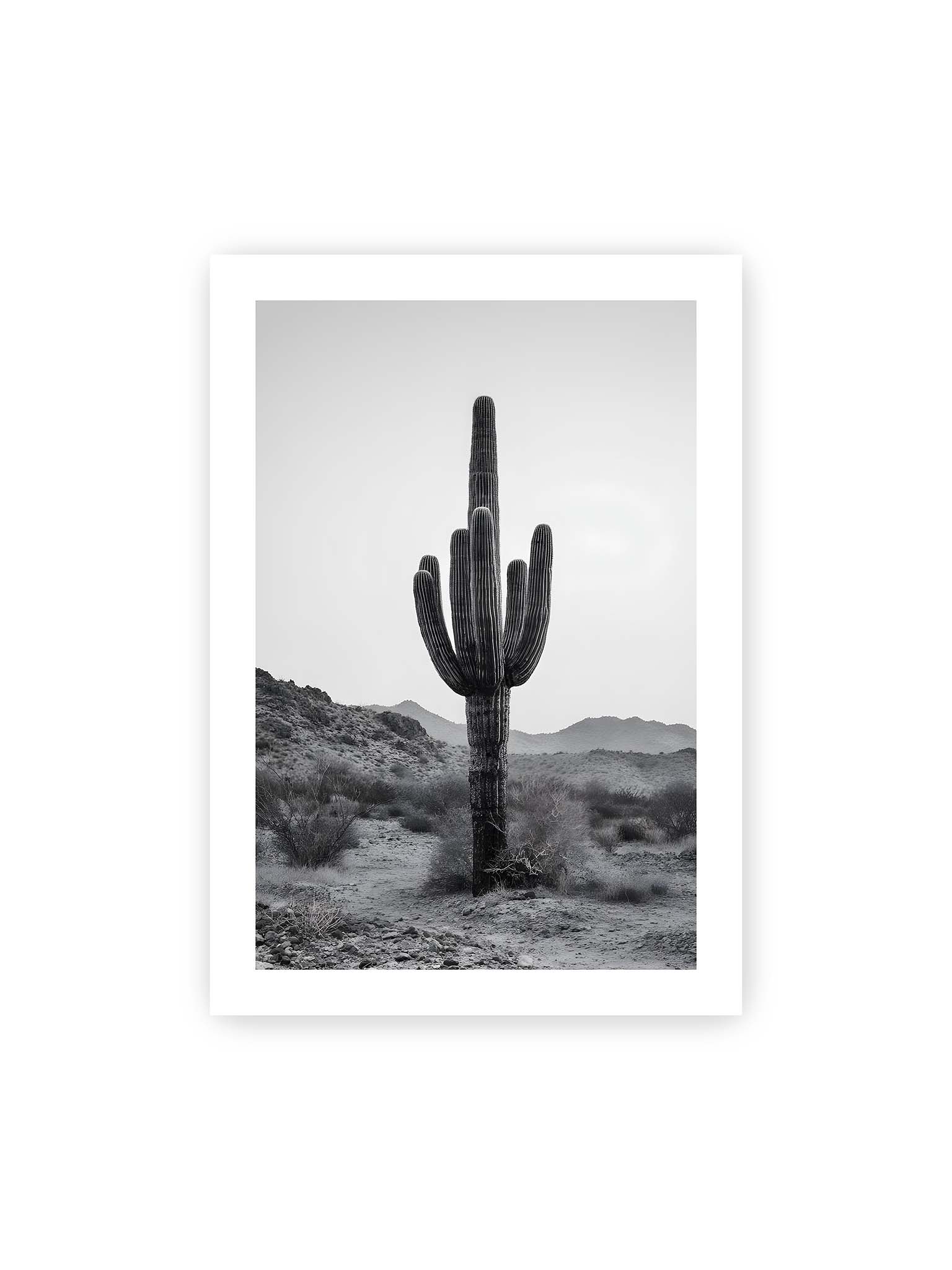 70x100 cm, weißer Galerie-Rand – Einzelner hoher Kaktus in monochromer Wüstenlandschaft mit Bergen im Hintergrund.