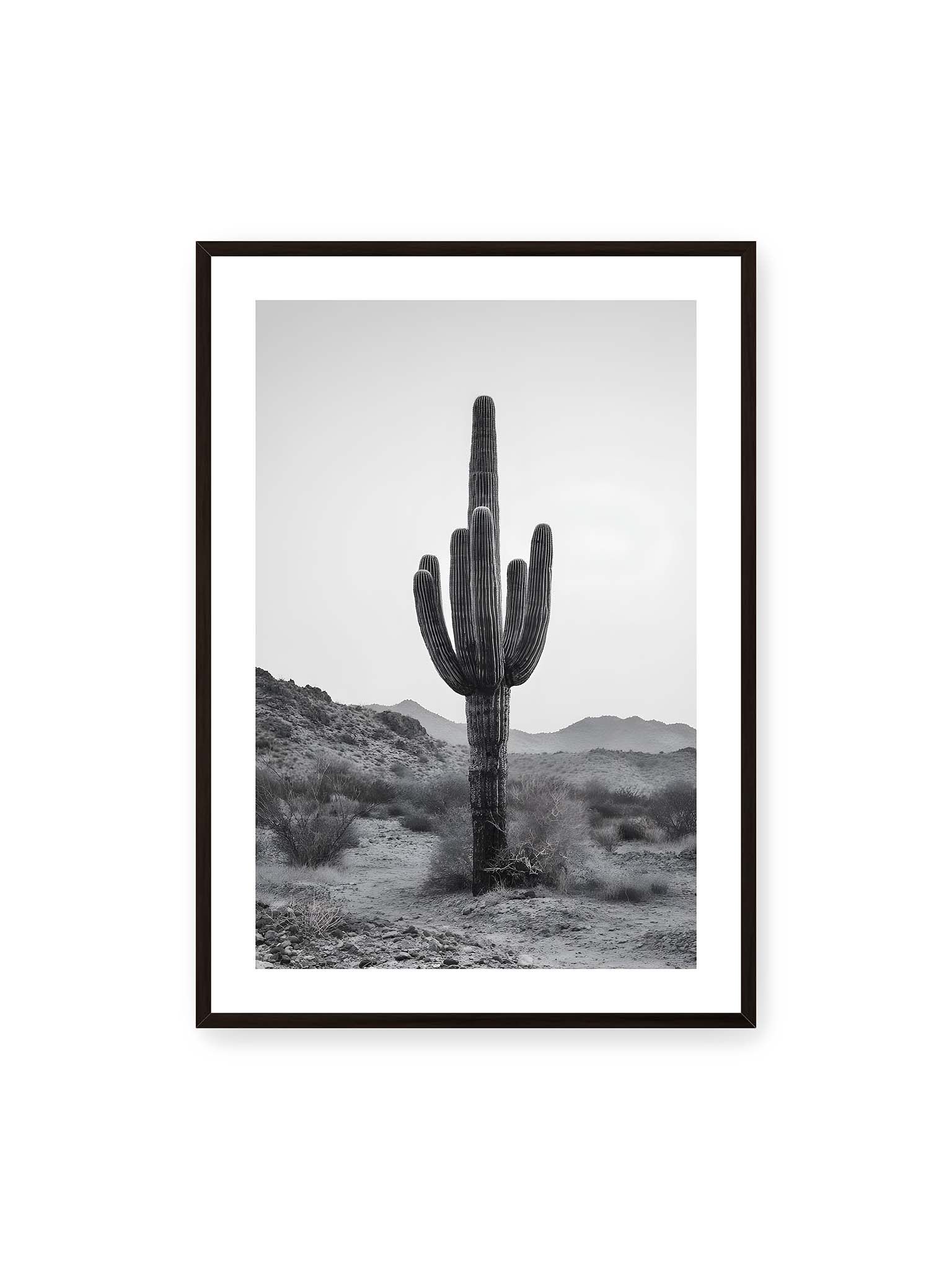 70x100 cm, weißer Galerie-Rand, schwarzer Rahmen – Einzelner hoher Kaktus in monochromer Wüstenlandschaft mit Bergen im Hintergrund.